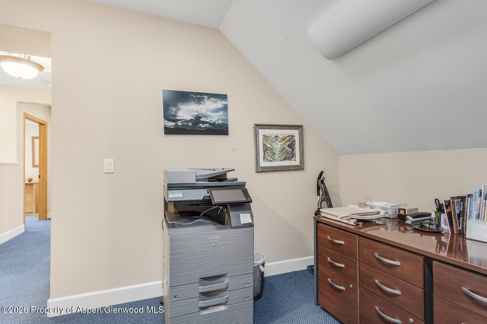 711 Main Street, Carbondale, CO 81623 - Photo 31