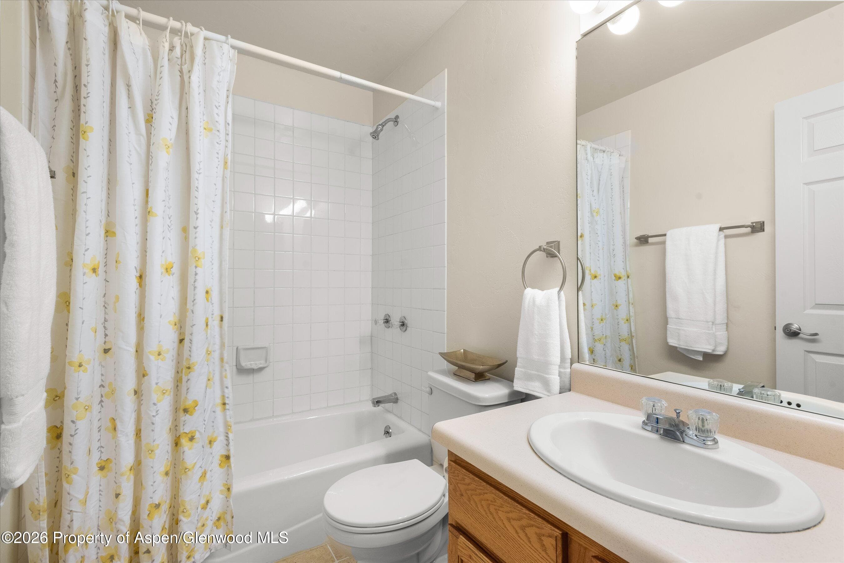 268 Deer Run, Carbondale, CO 81623 - Photo 29