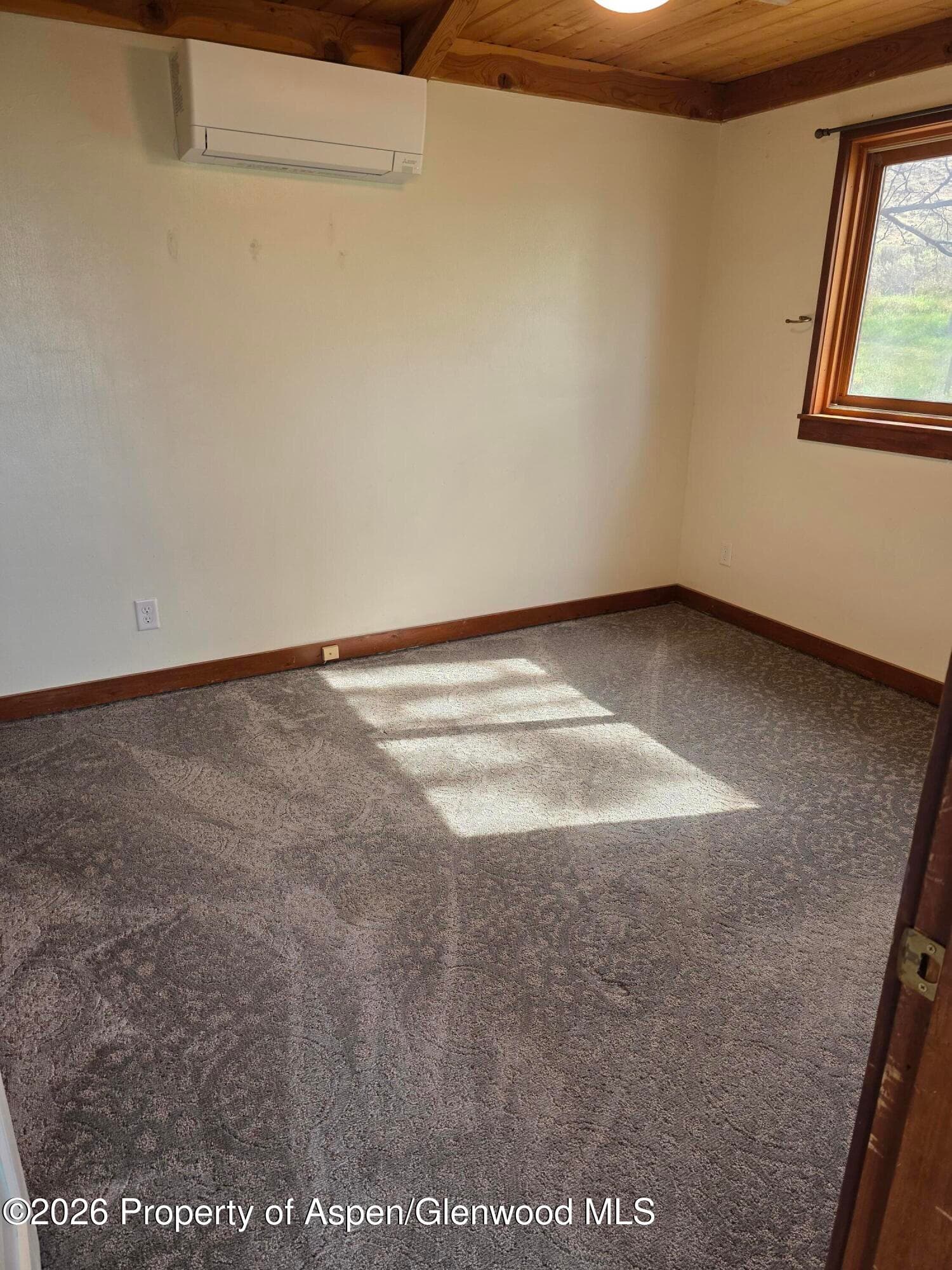 3465 County Road 214, Silt, CO 81652 - Photo 5