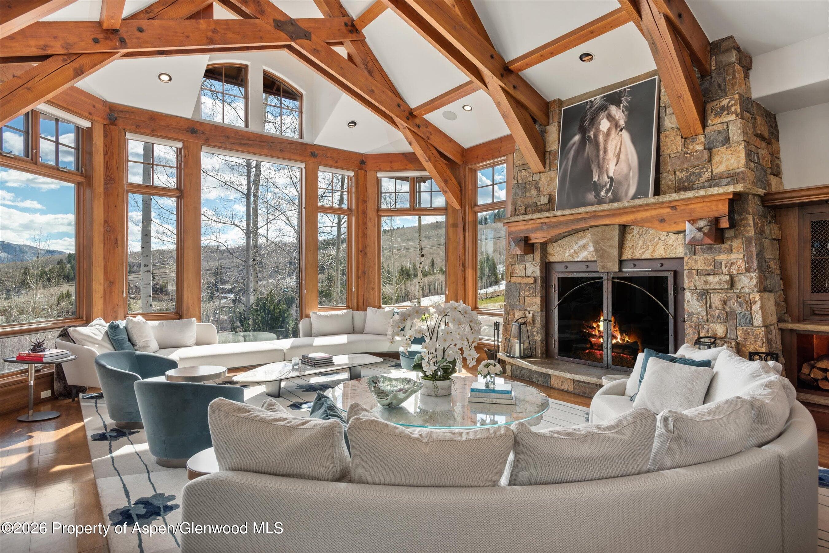 1000 Two Creeks Drive, Snowmass Village, CO 81615 - Photo 4