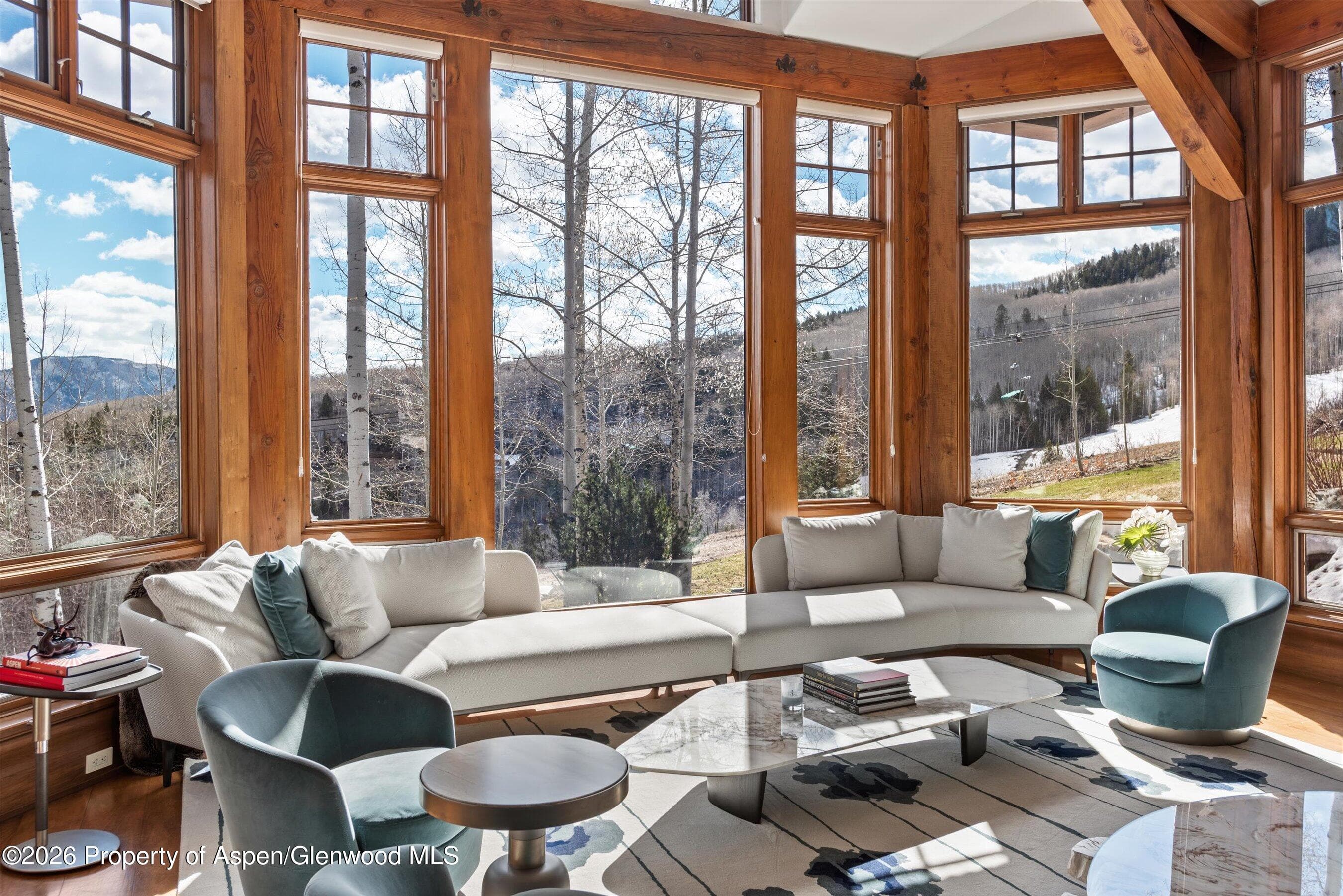 1000 Two Creeks Drive, Snowmass Village, CO 81615 - Photo 8