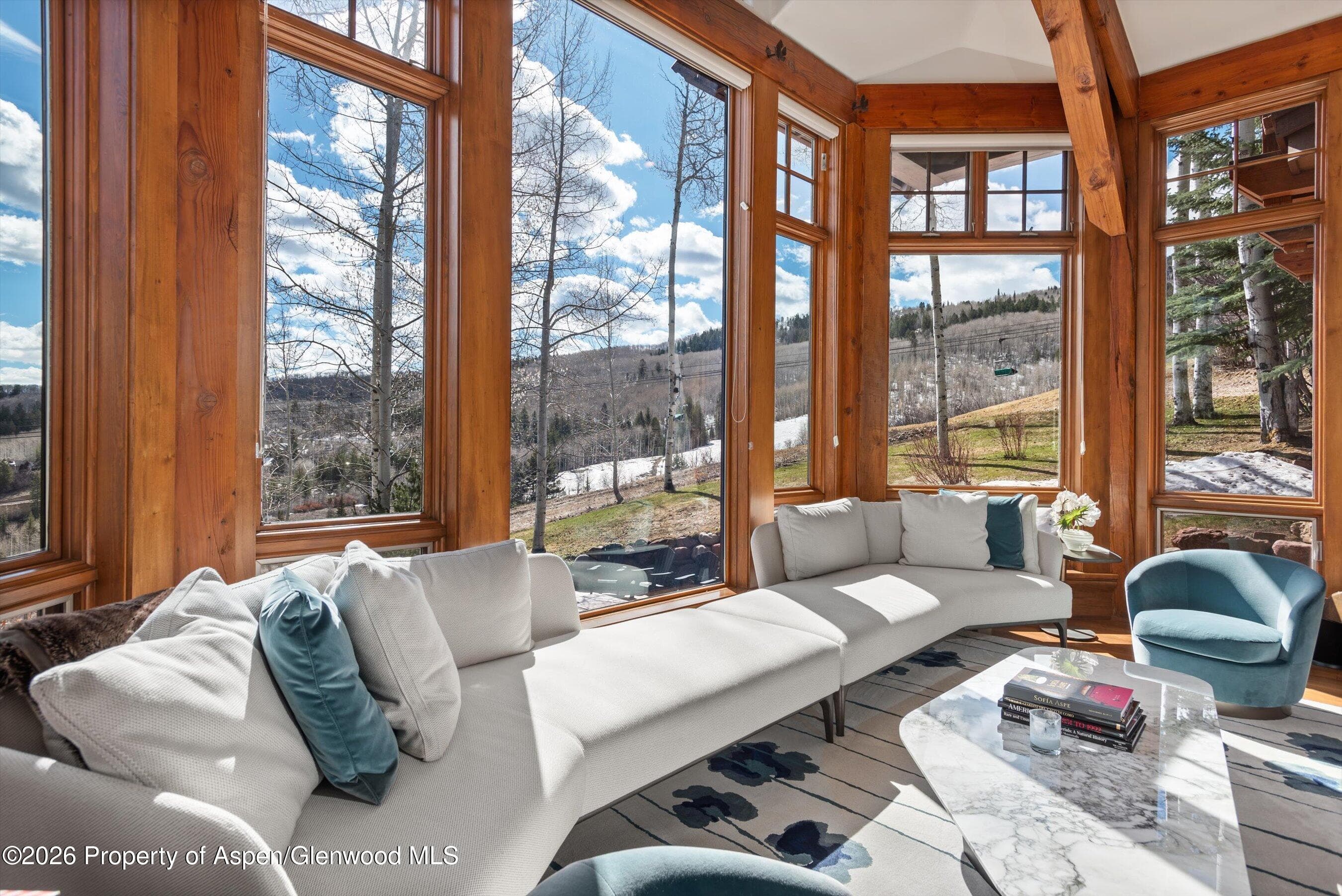1000 Two Creeks Drive, Snowmass Village, CO 81615 - Photo 9