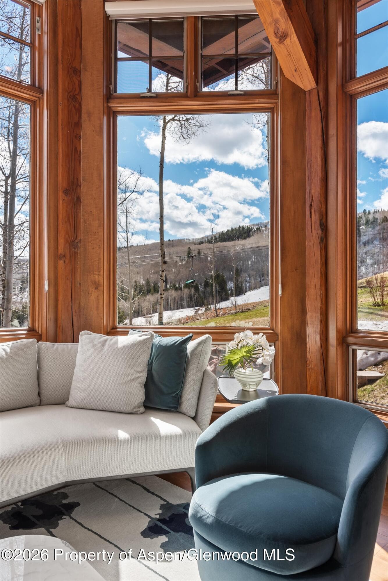 1000 Two Creeks Drive, Snowmass Village, CO 81615 - Photo 13
