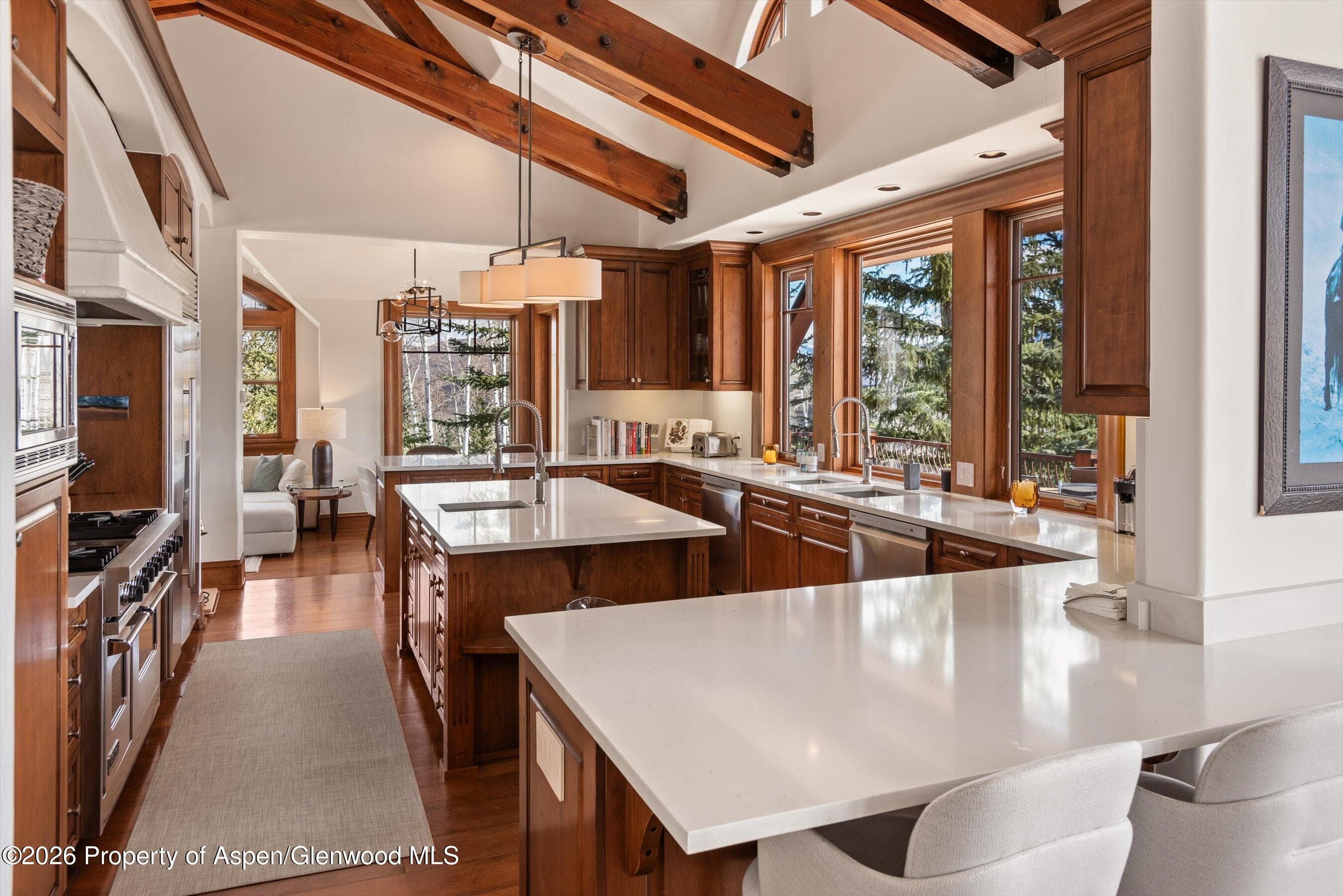 1000 Two Creeks Drive, Snowmass Village, CO 81615 - Photo 17