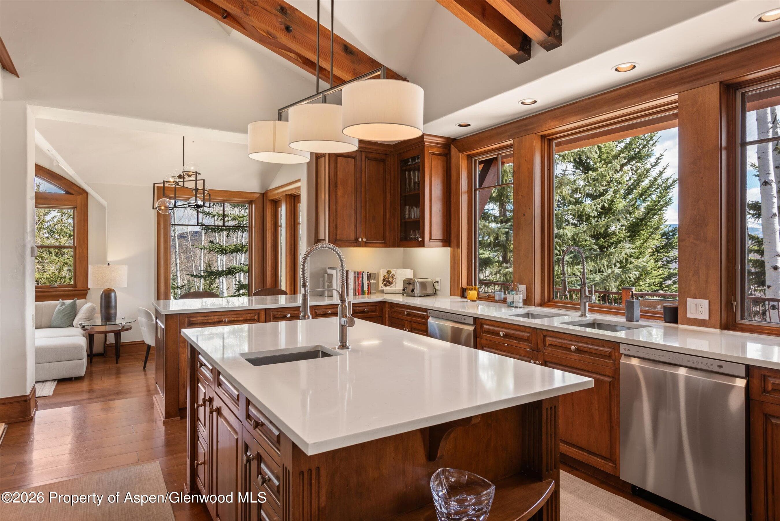 1000 Two Creeks Drive, Snowmass Village, CO 81615 - Photo 19