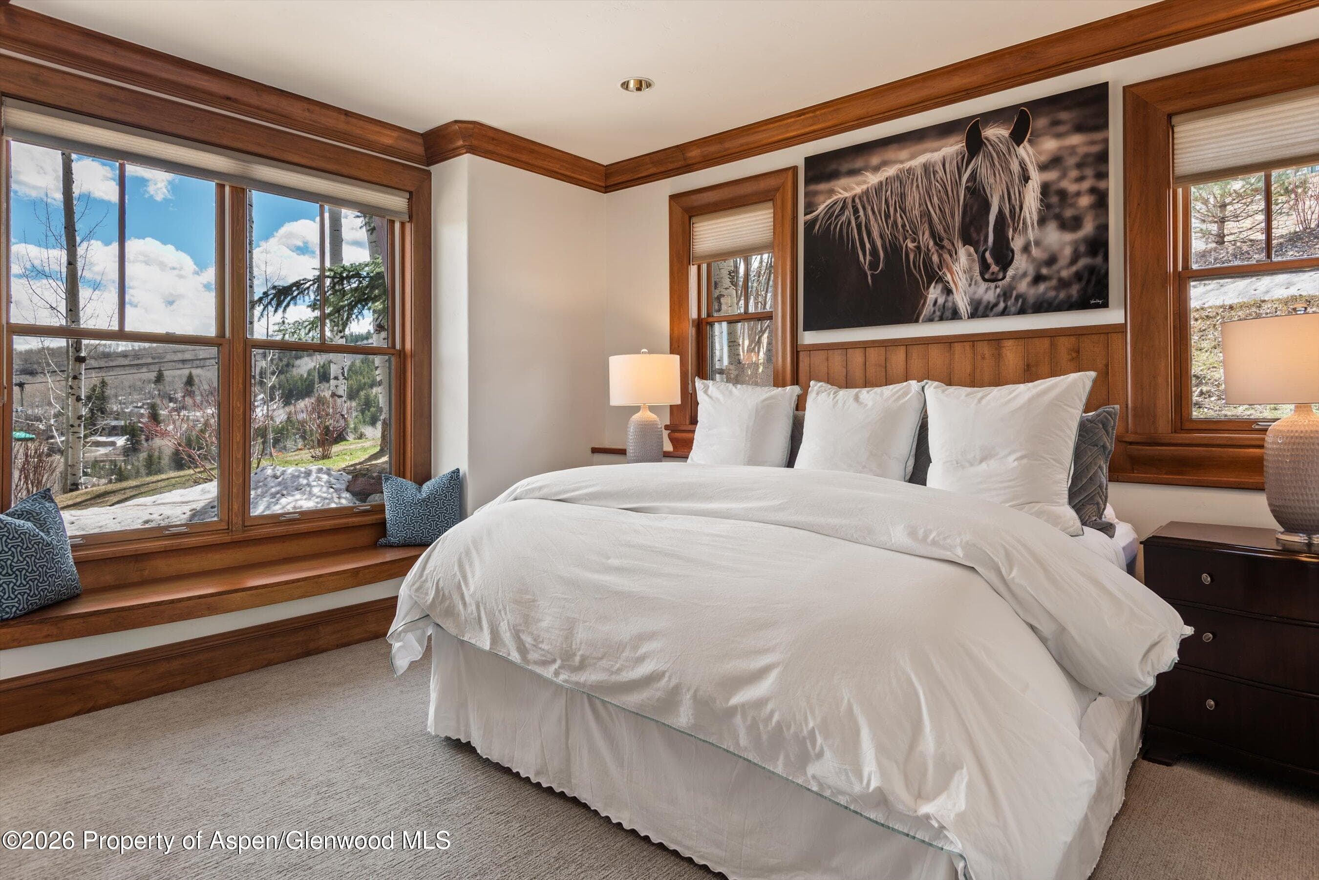1000 Two Creeks Drive, Snowmass Village, CO 81615 - Photo 41