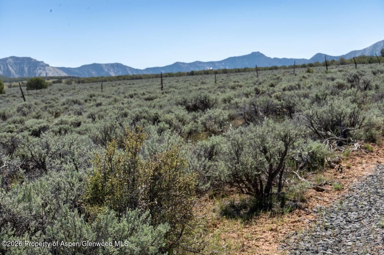 Tbd T Road, De Beque, CO 81630 - Photo 8