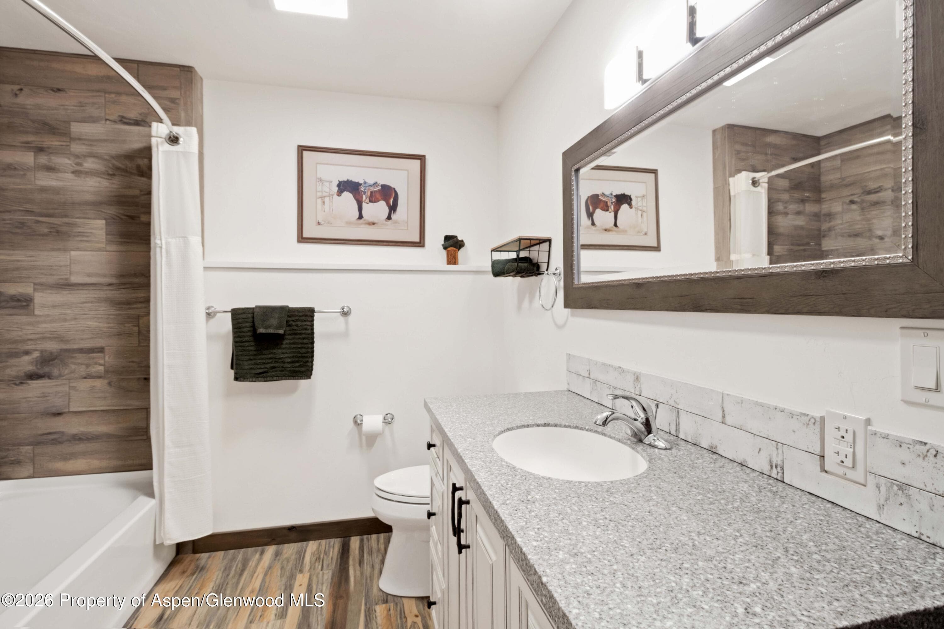 273 Saddle Drive, Glenwood Springs, CO 81601 - Photo 20