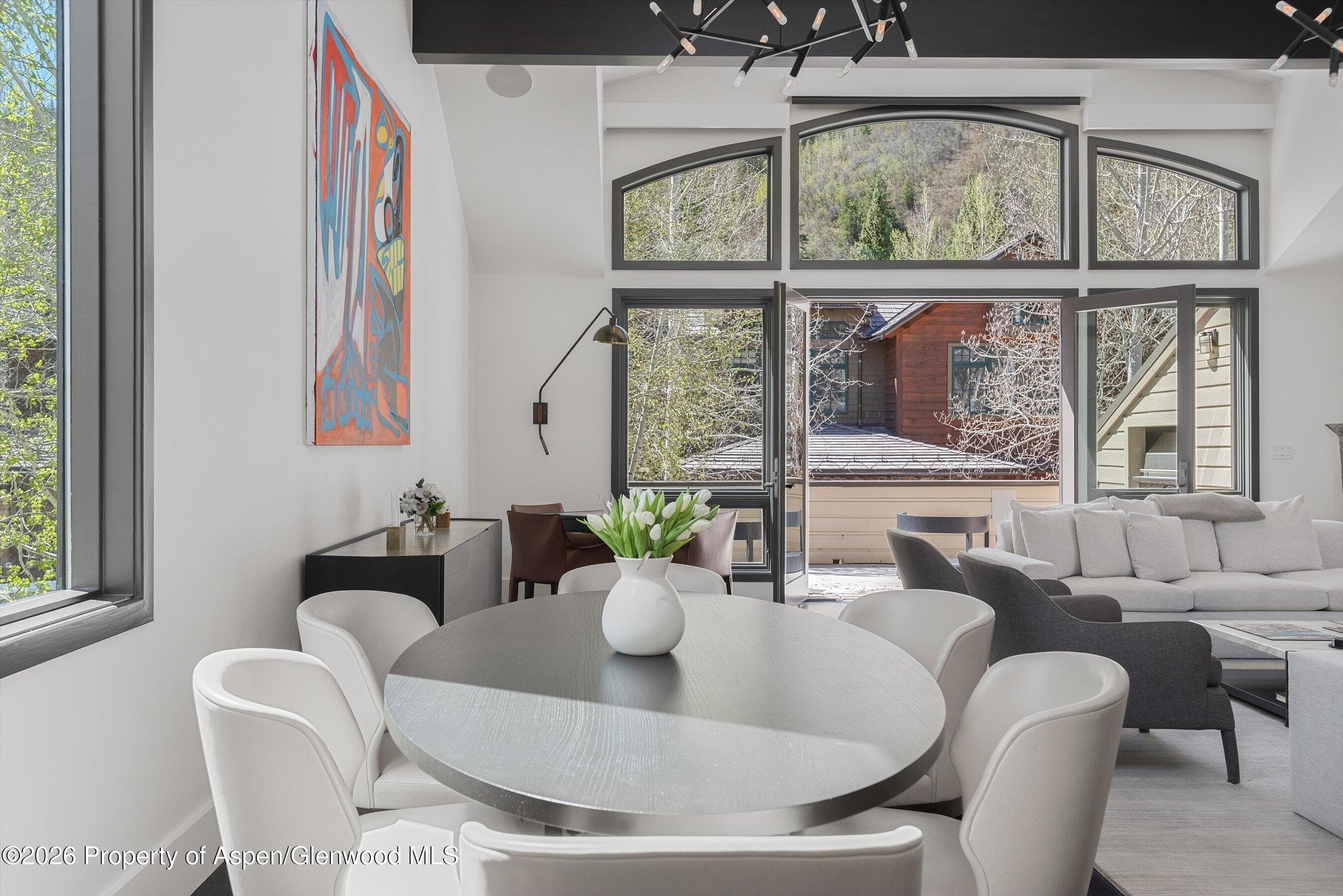 121 W Hyman Avenue B, Aspen, CO 81611 - Photo 12
