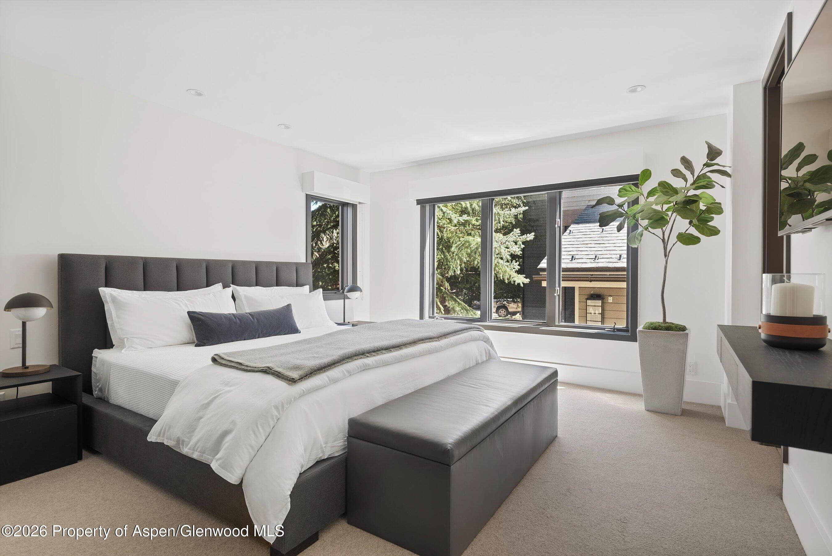 121 W Hyman Avenue B, Aspen, CO 81611 - Photo 21