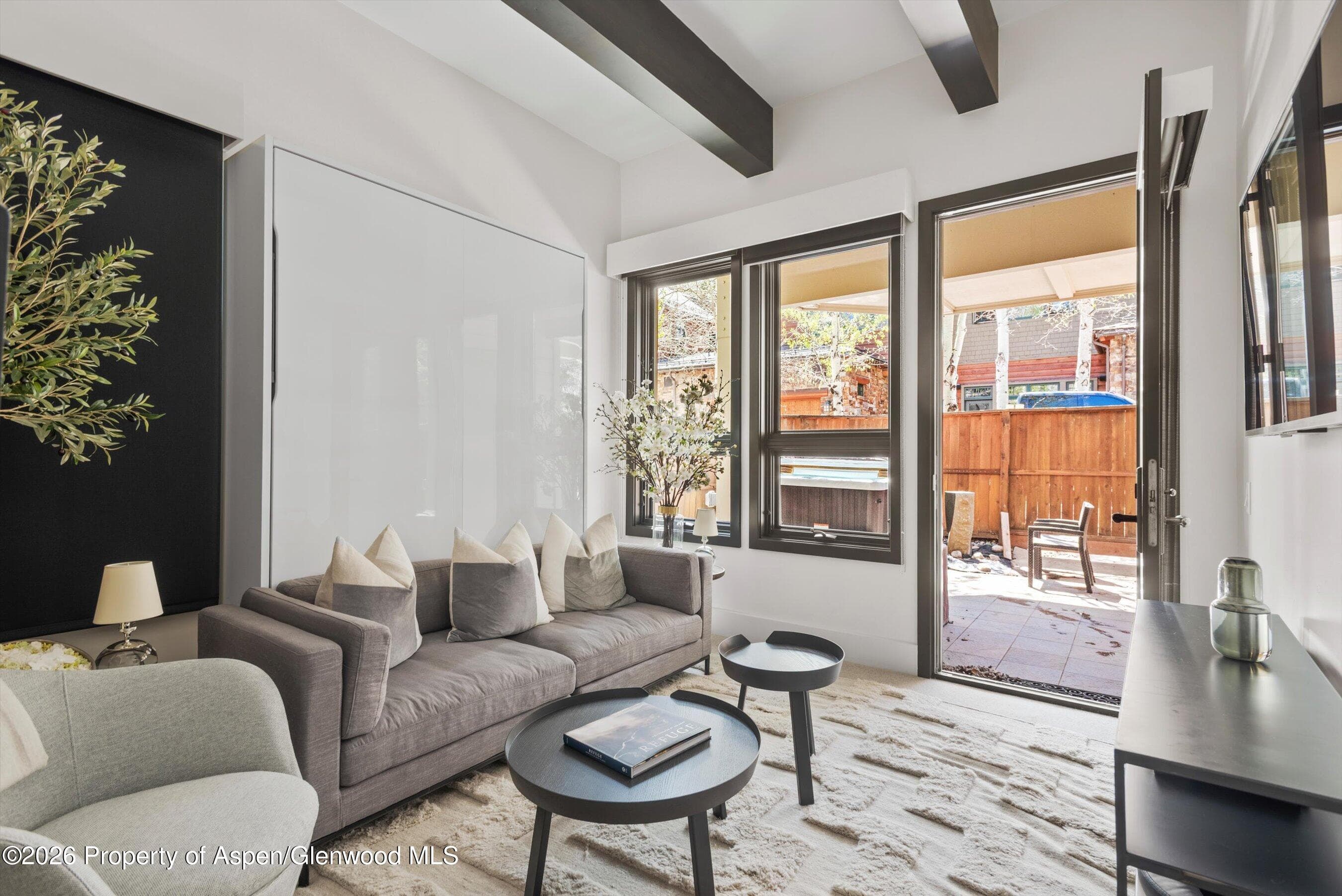 121 W Hyman Avenue B, Aspen, CO 81611 - Photo 25