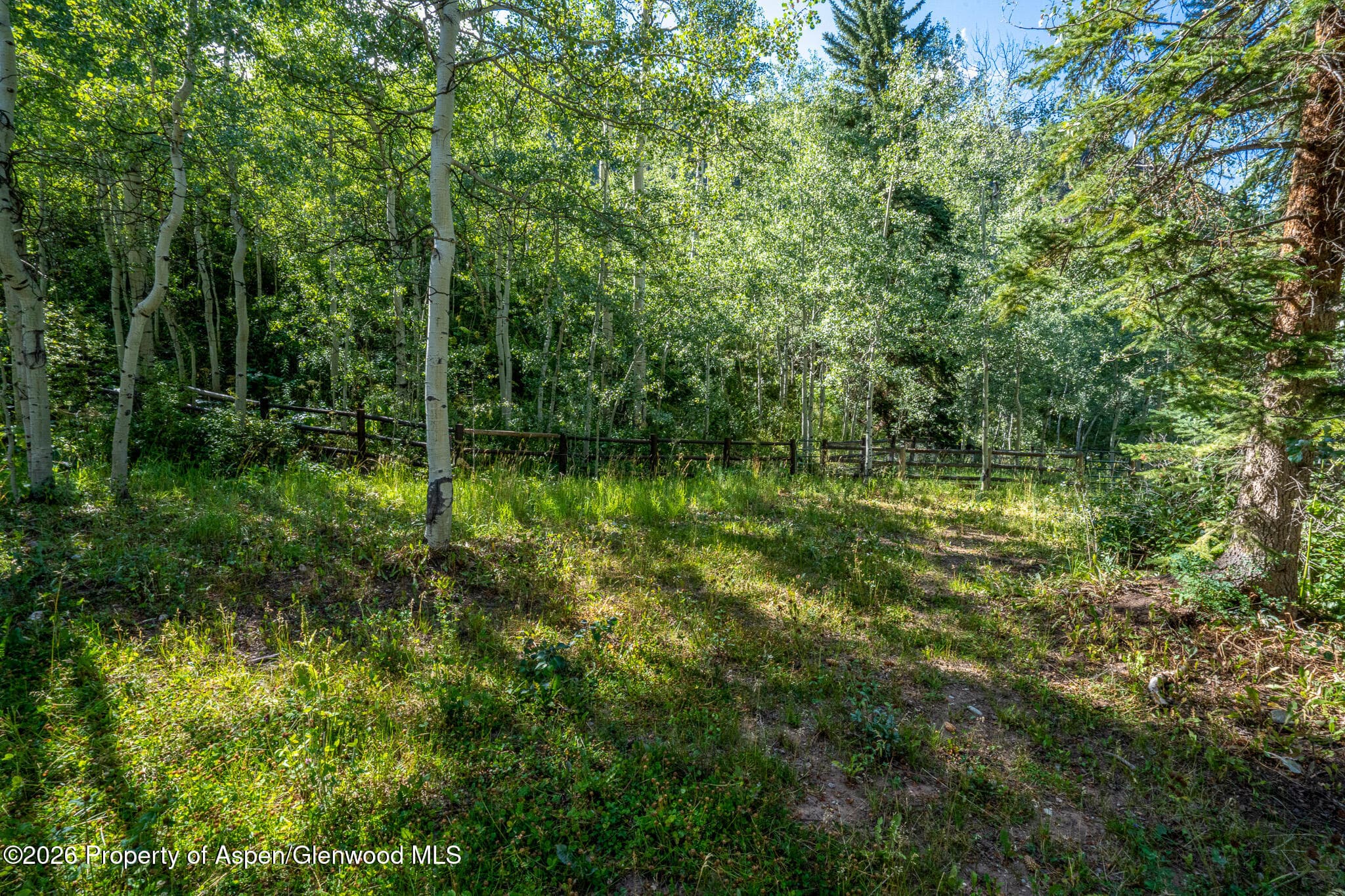 285 Conundrum Road, Aspen, CO 81611 - Photo 32