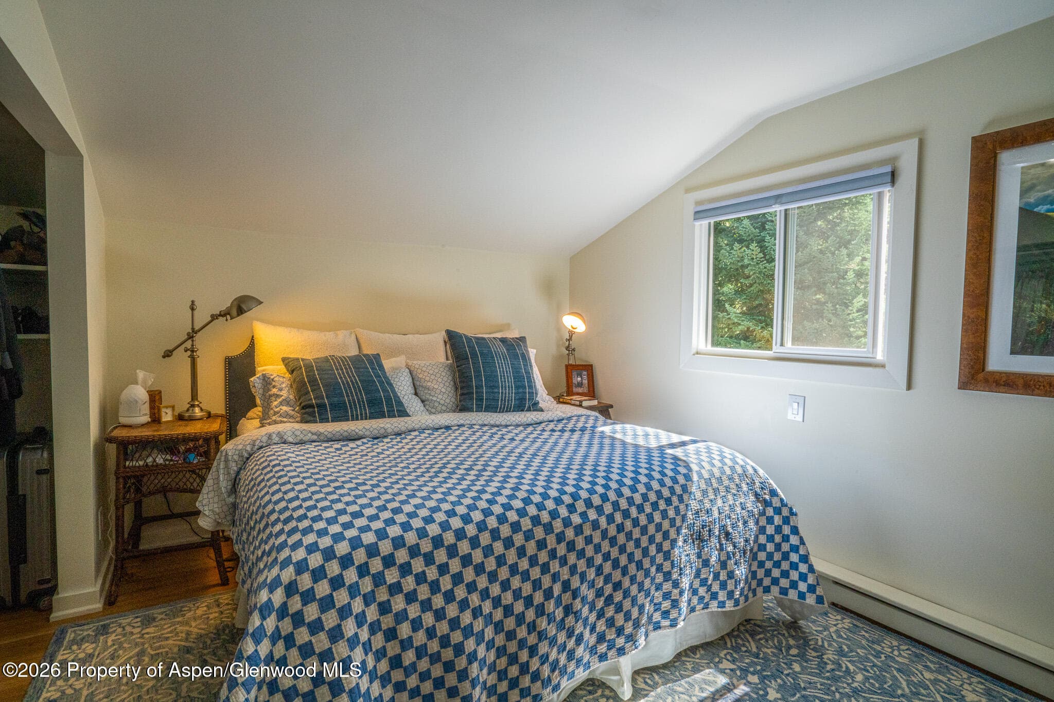 285 Conundrum Road, Aspen, CO 81611 - Photo 19