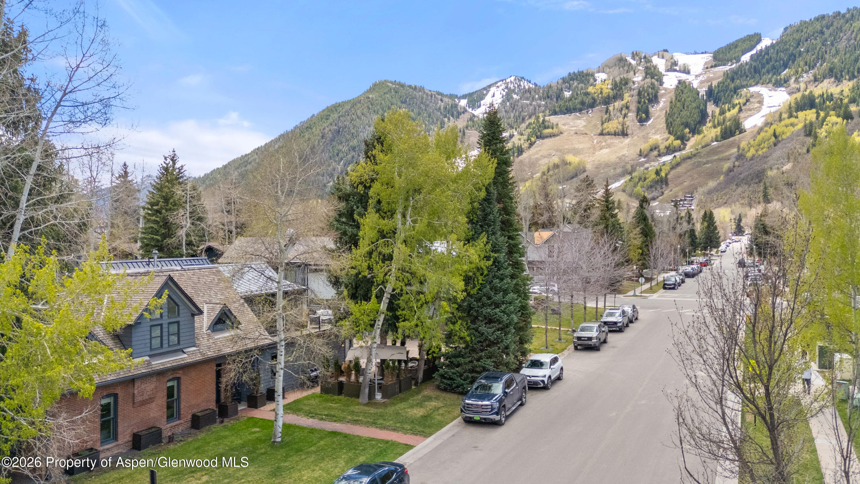 101 E Hallam Street, Aspen, CO 81611 - Photo 59