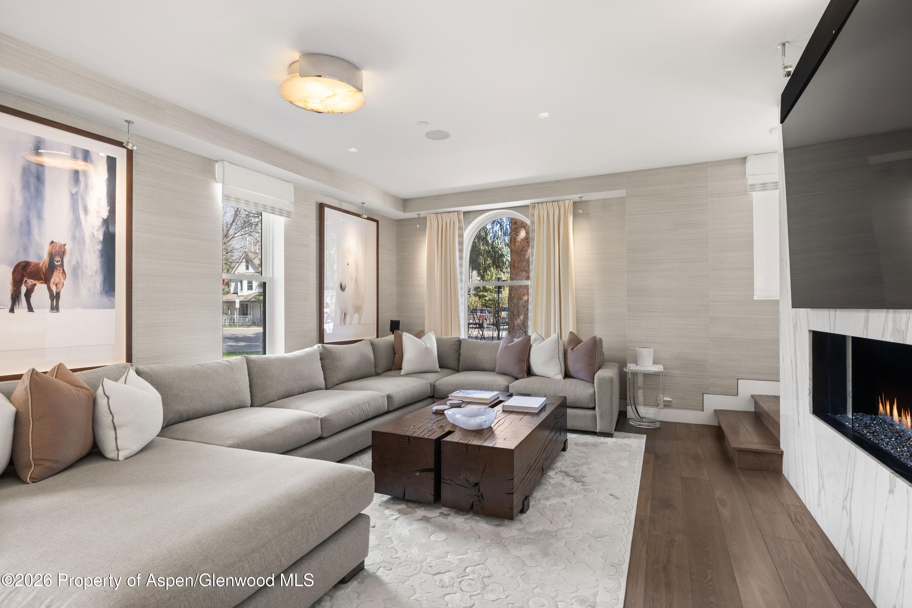 101 E Hallam Street, Aspen, CO 81611 - Photo 3