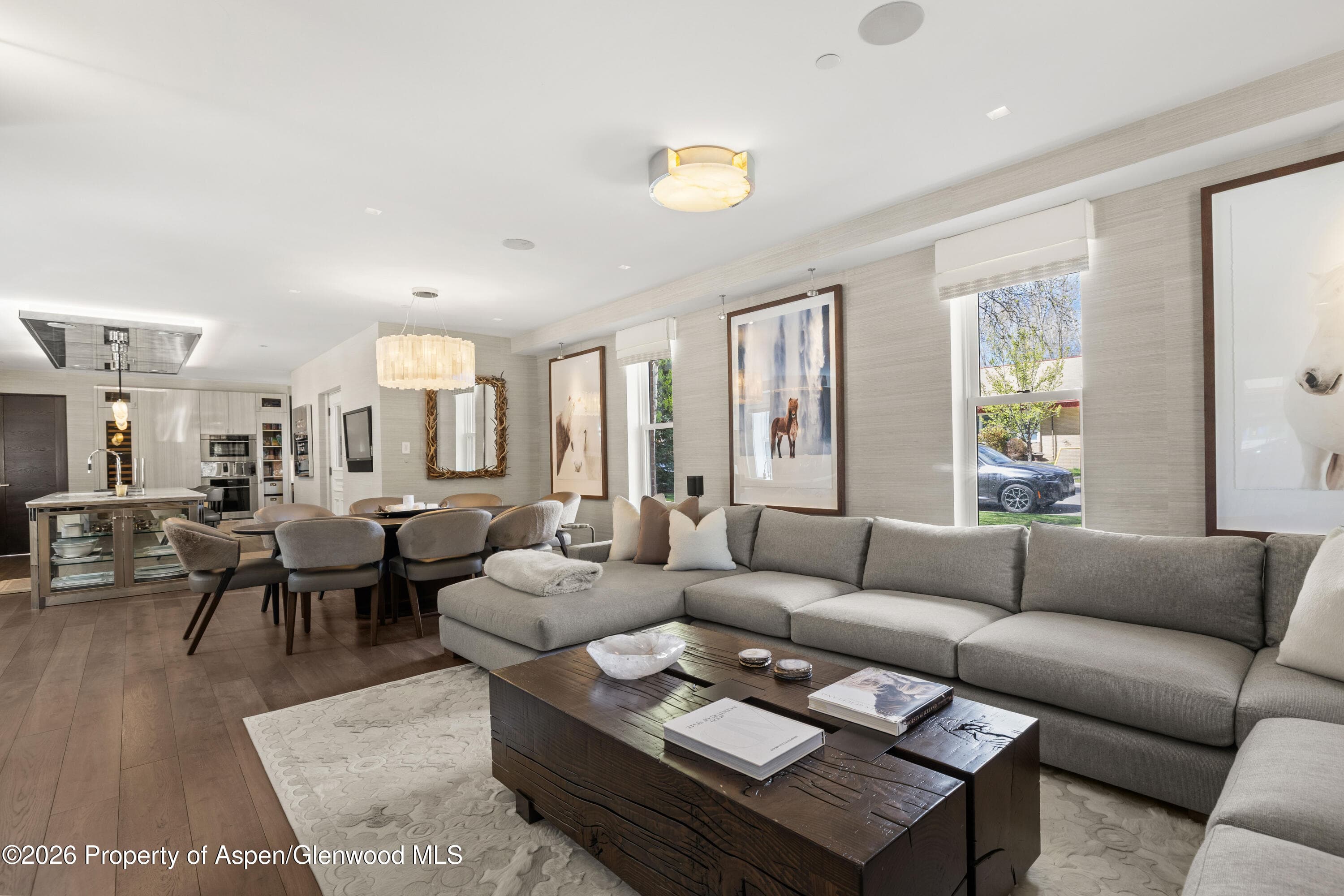 101 E Hallam Street, Aspen, CO 81611 - Photo 2