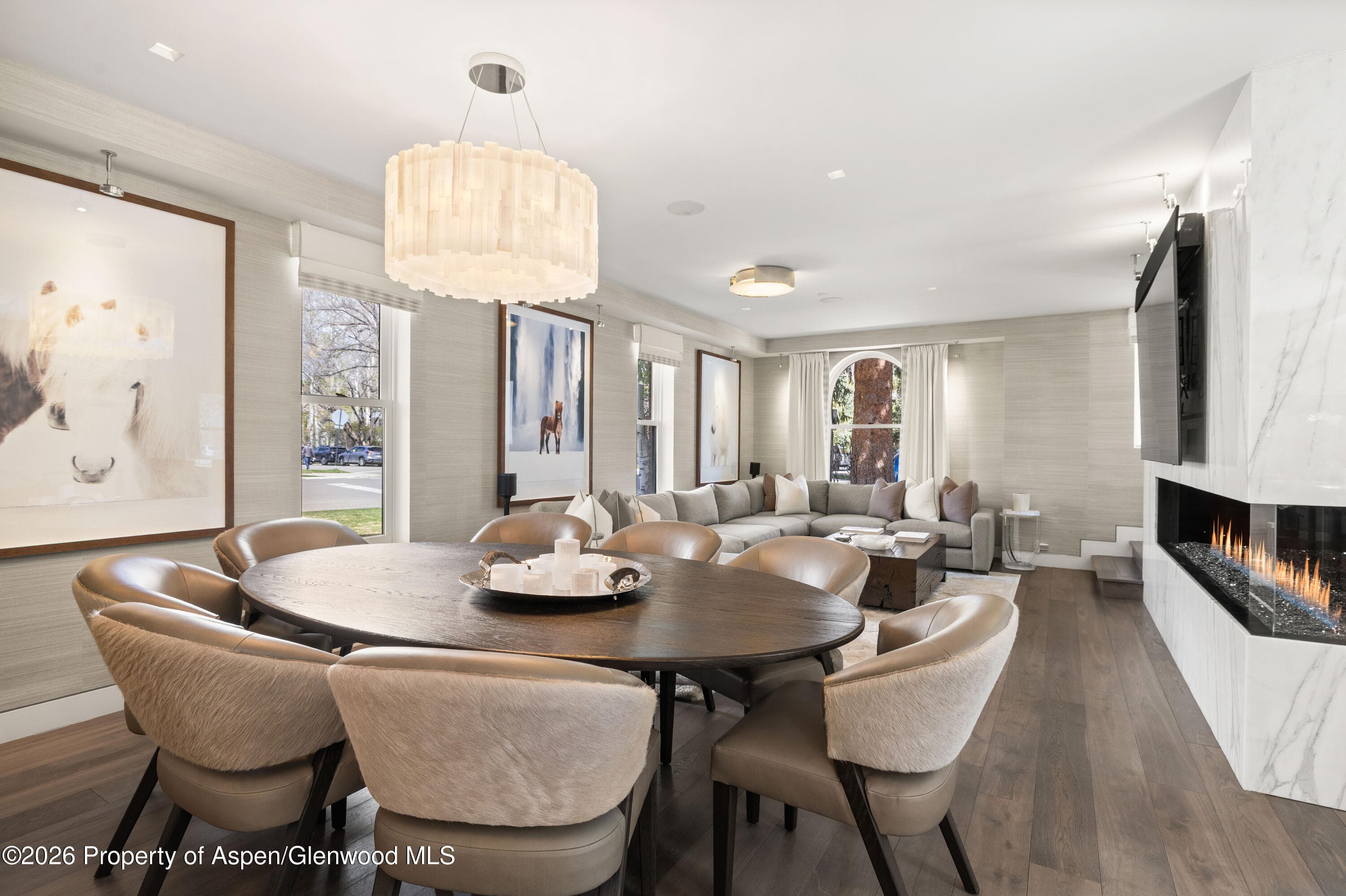 101 E Hallam Street, Aspen, CO 81611 - Photo 4