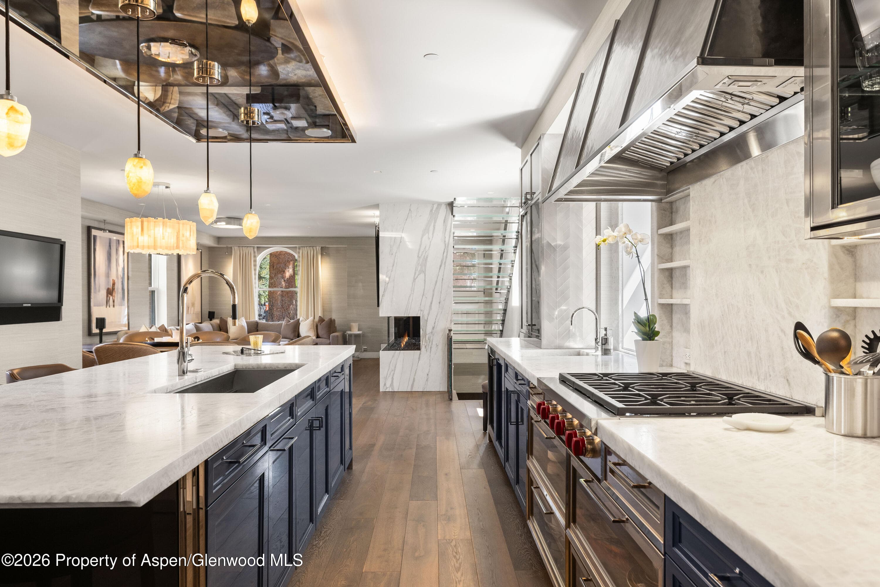 101 E Hallam Street, Aspen, CO 81611 - Photo 9