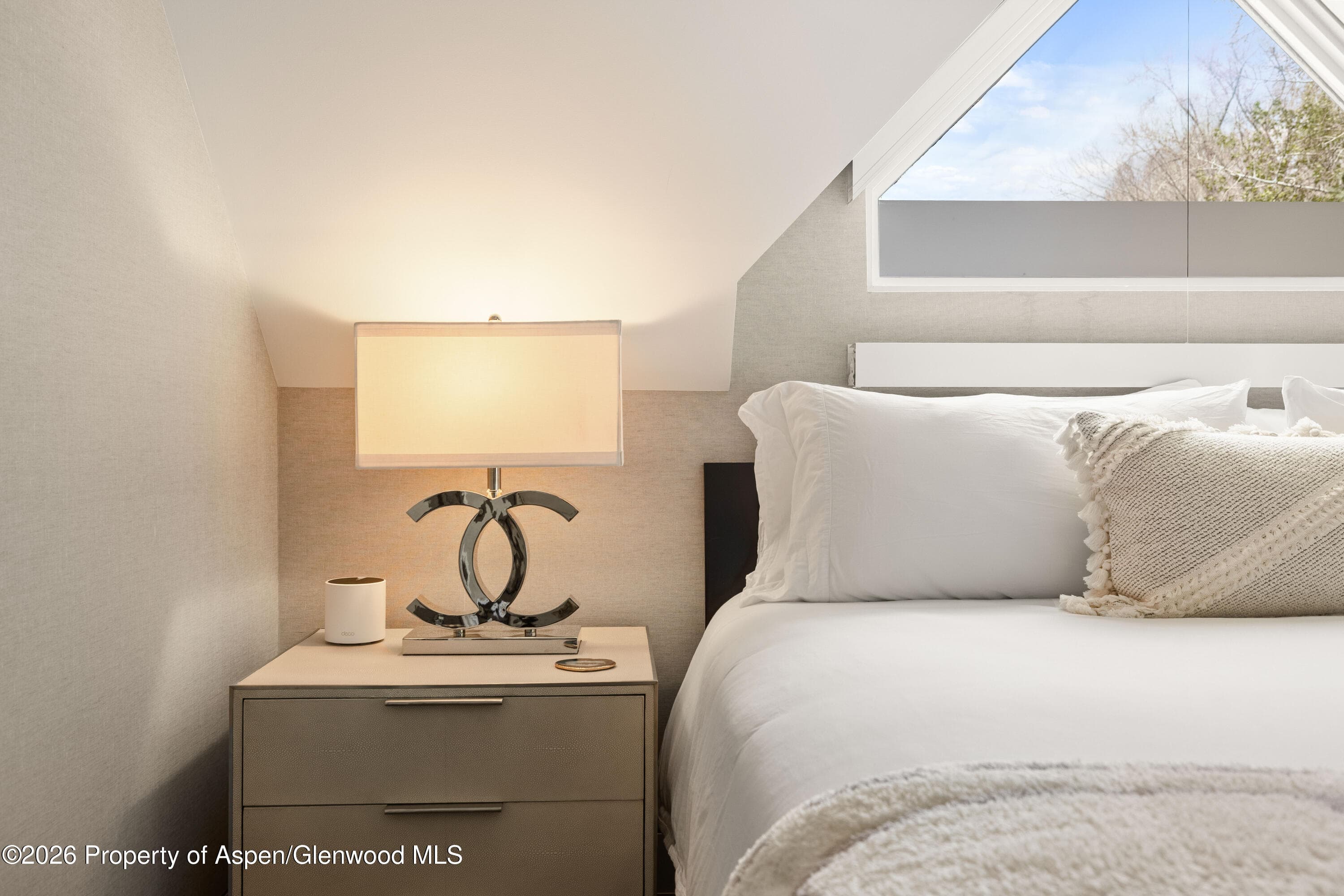 101 E Hallam Street, Aspen, CO 81611 - Photo 27