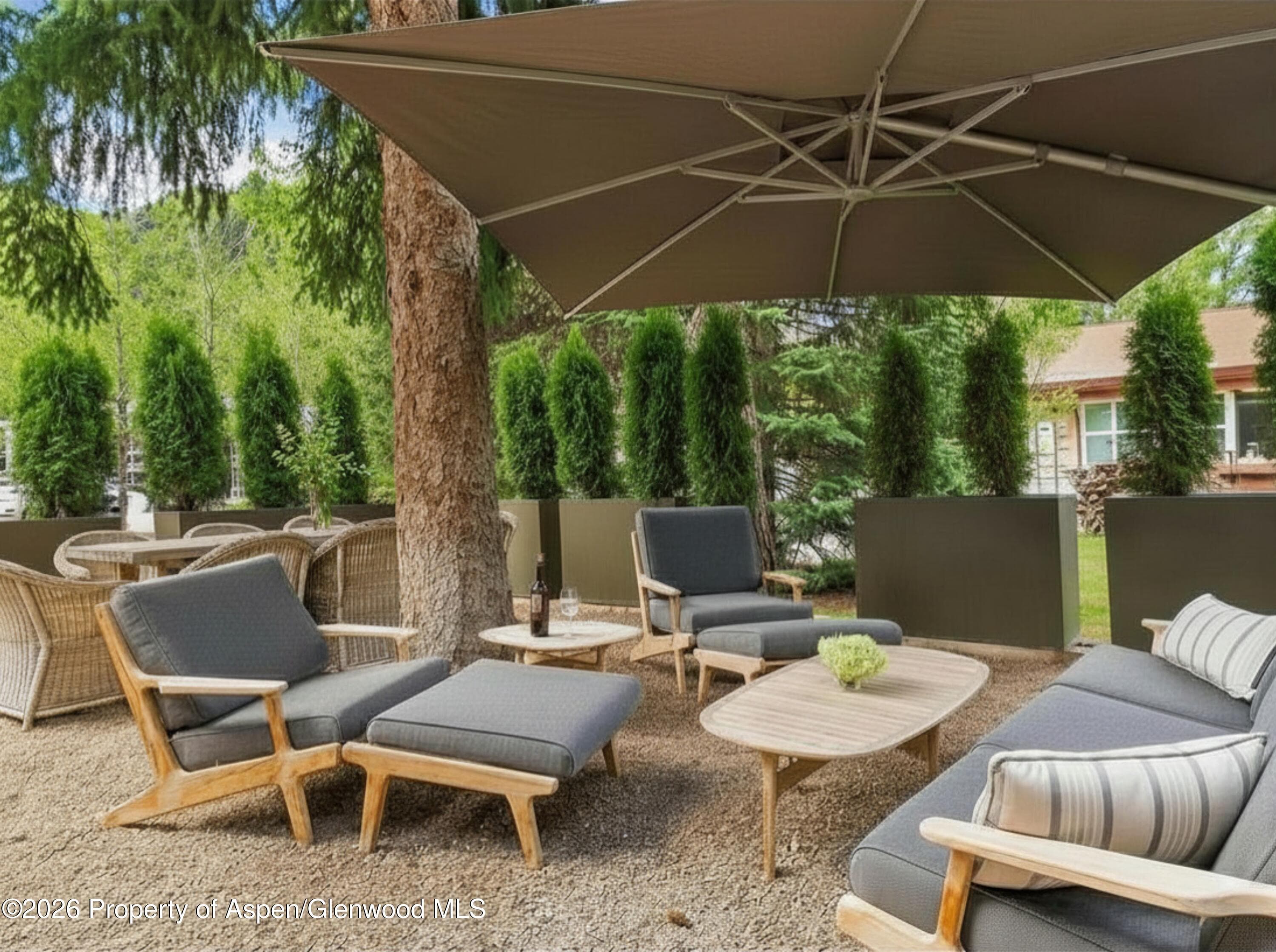 101 E Hallam Street, Aspen, CO 81611 - Photo 53