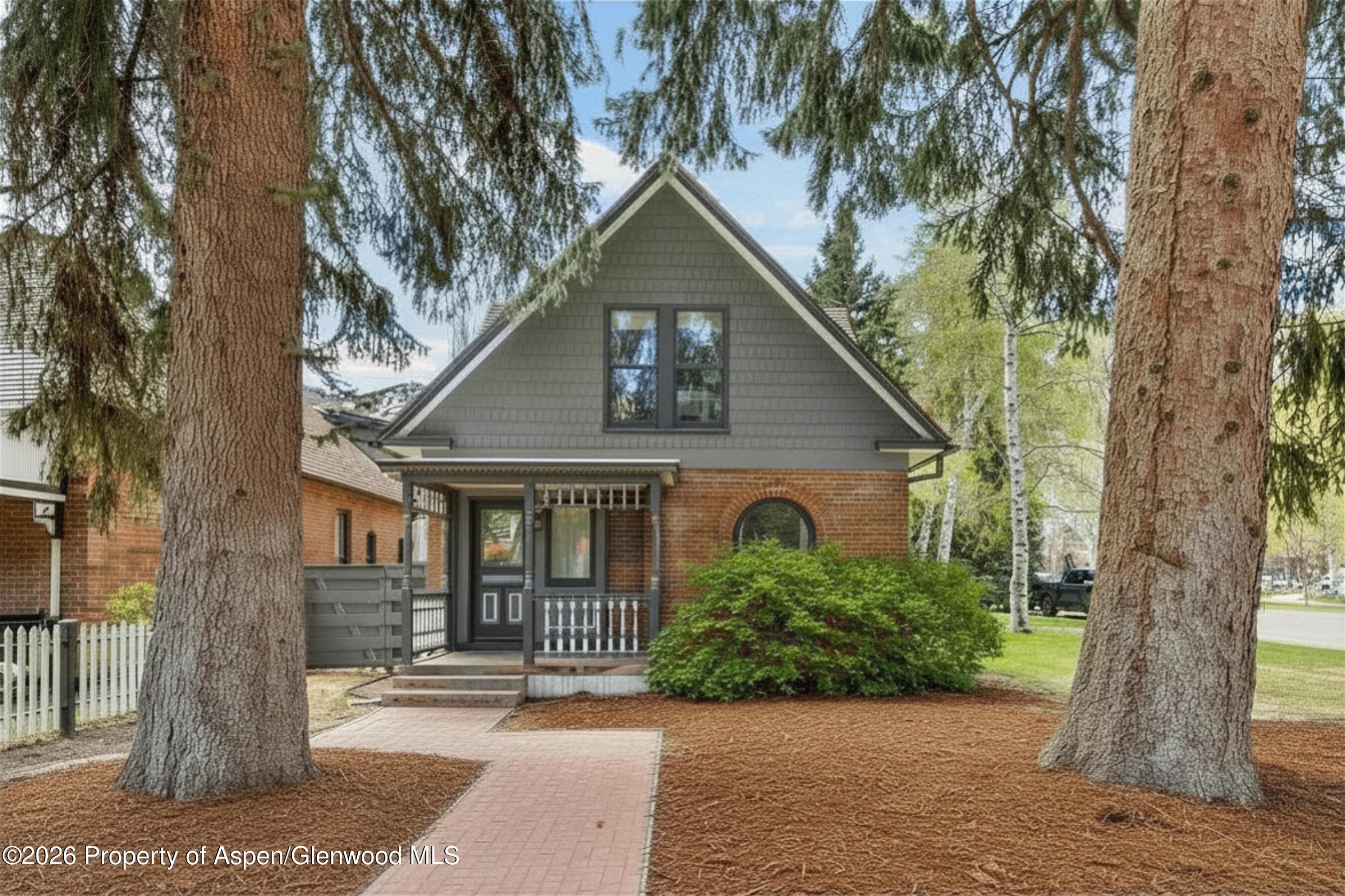 101 E Hallam Street, Aspen, CO 81611 - Photo 58