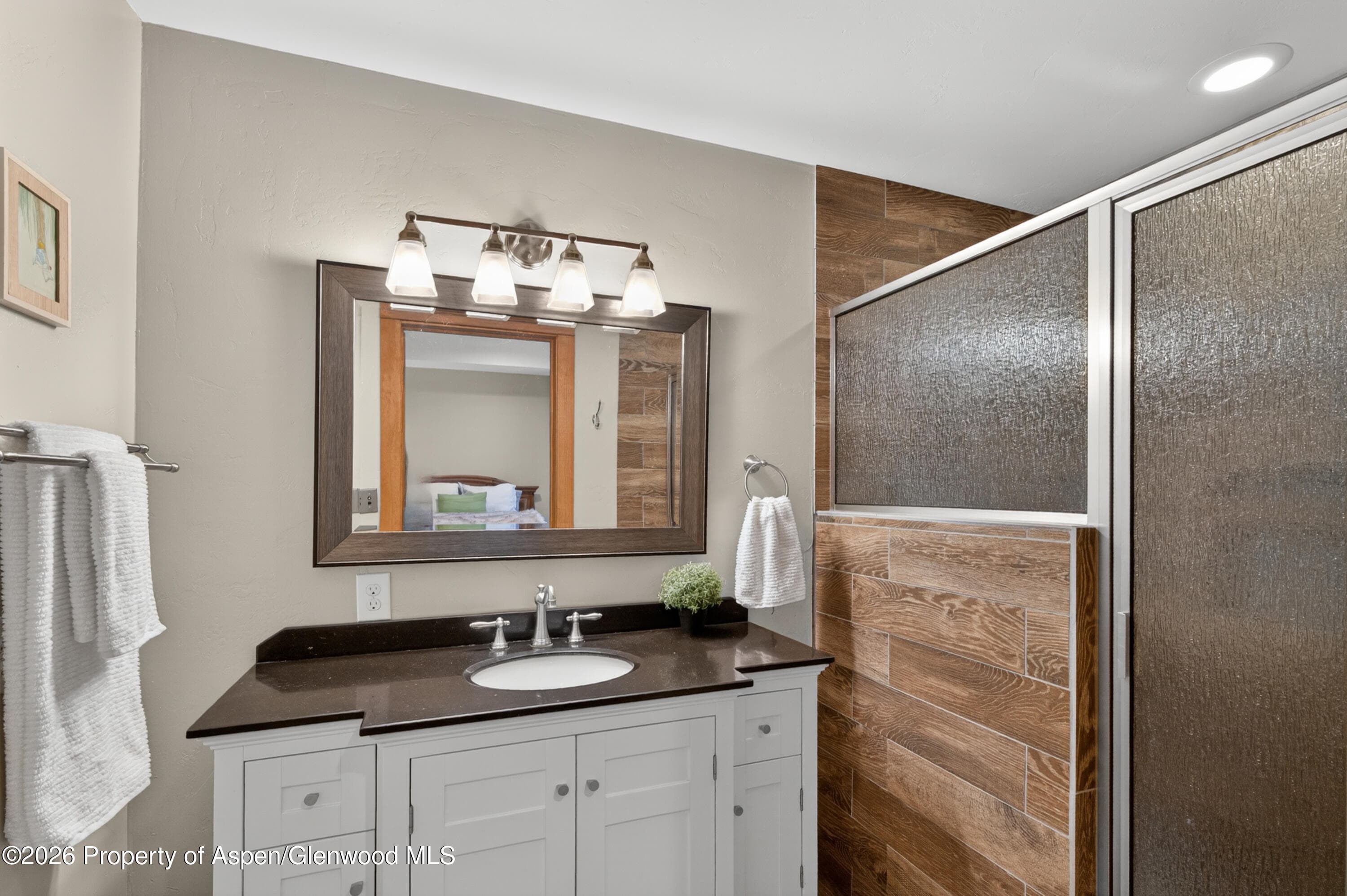 85 Red Cliff Circle, Glenwood Springs, CO 81601 - Photo 44