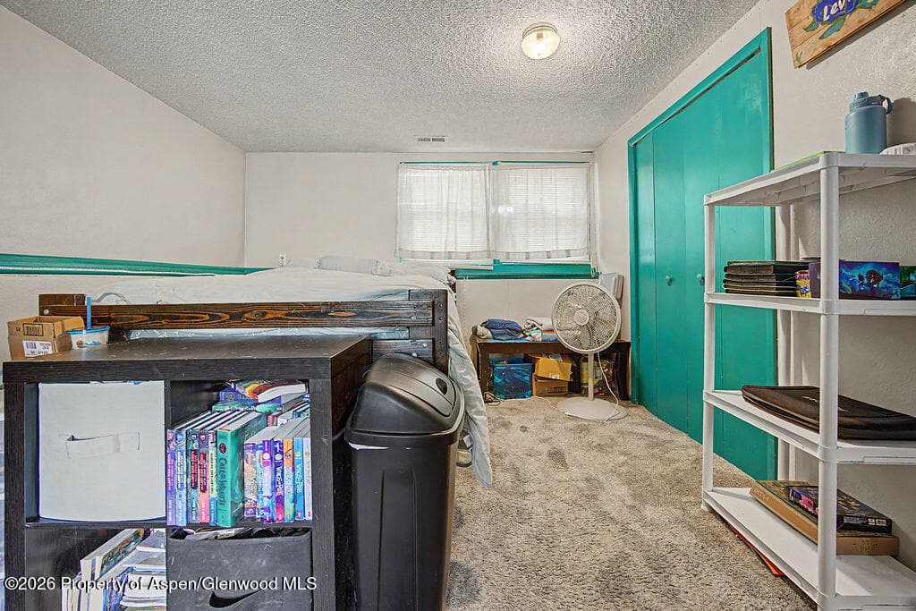 803 Exmoor Circle, Craig, CO 81625 - Photo 44