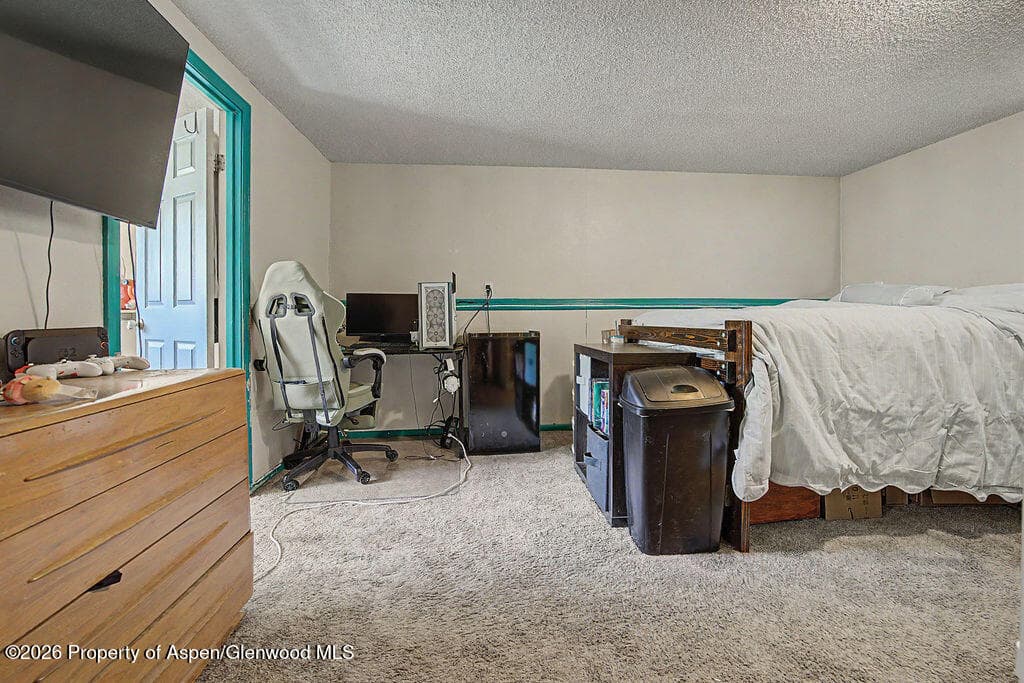 803 Exmoor Circle, Craig, CO 81625 - Photo 45