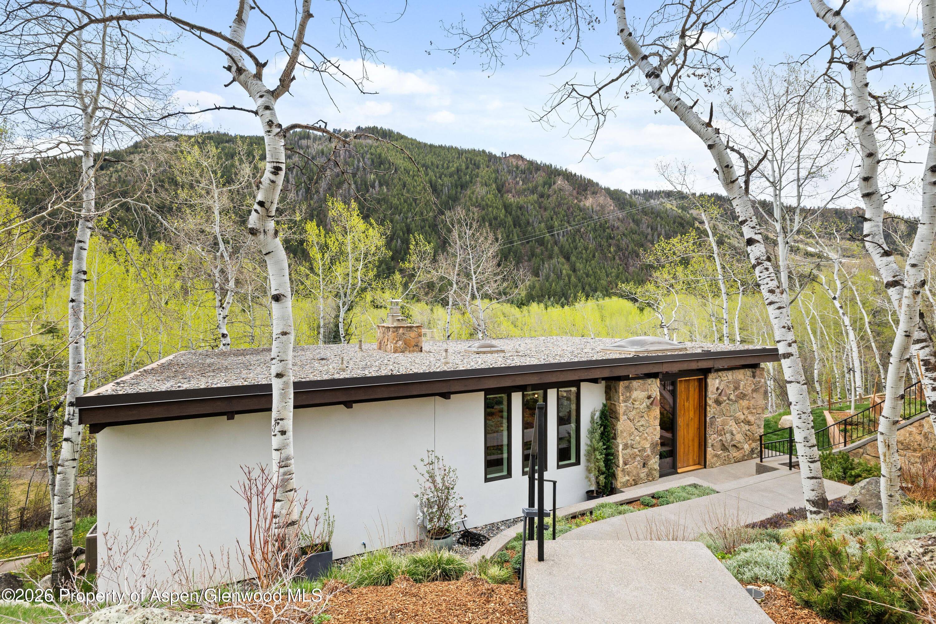 284 Eastwood Drive, Aspen, CO 81611 - Photo 29