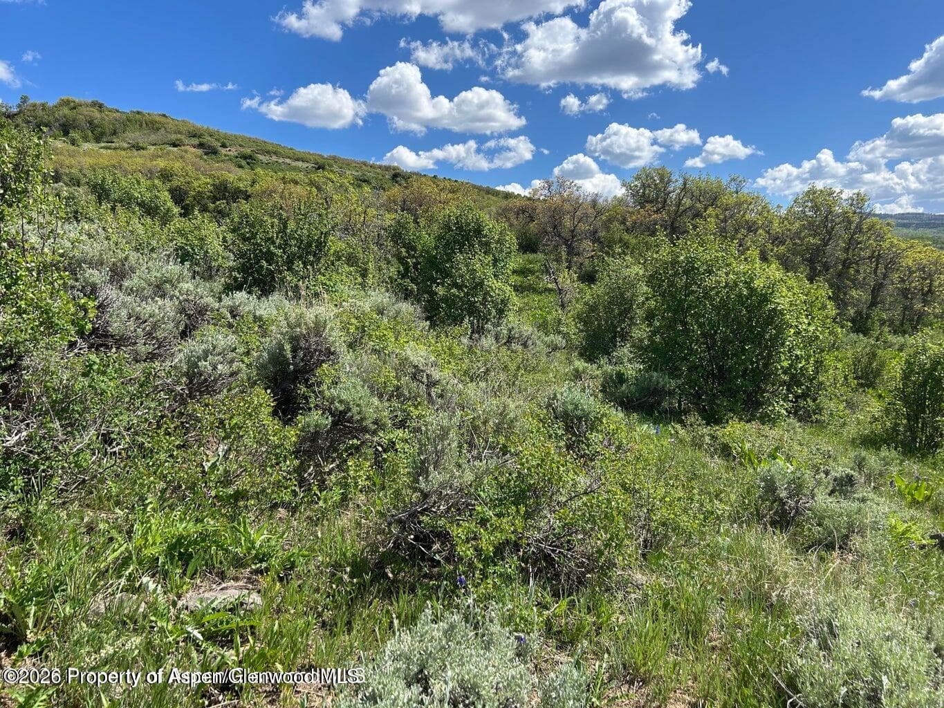 1633 Eagle Loop Lot 752, Craig, CO 81625 - Photo 4