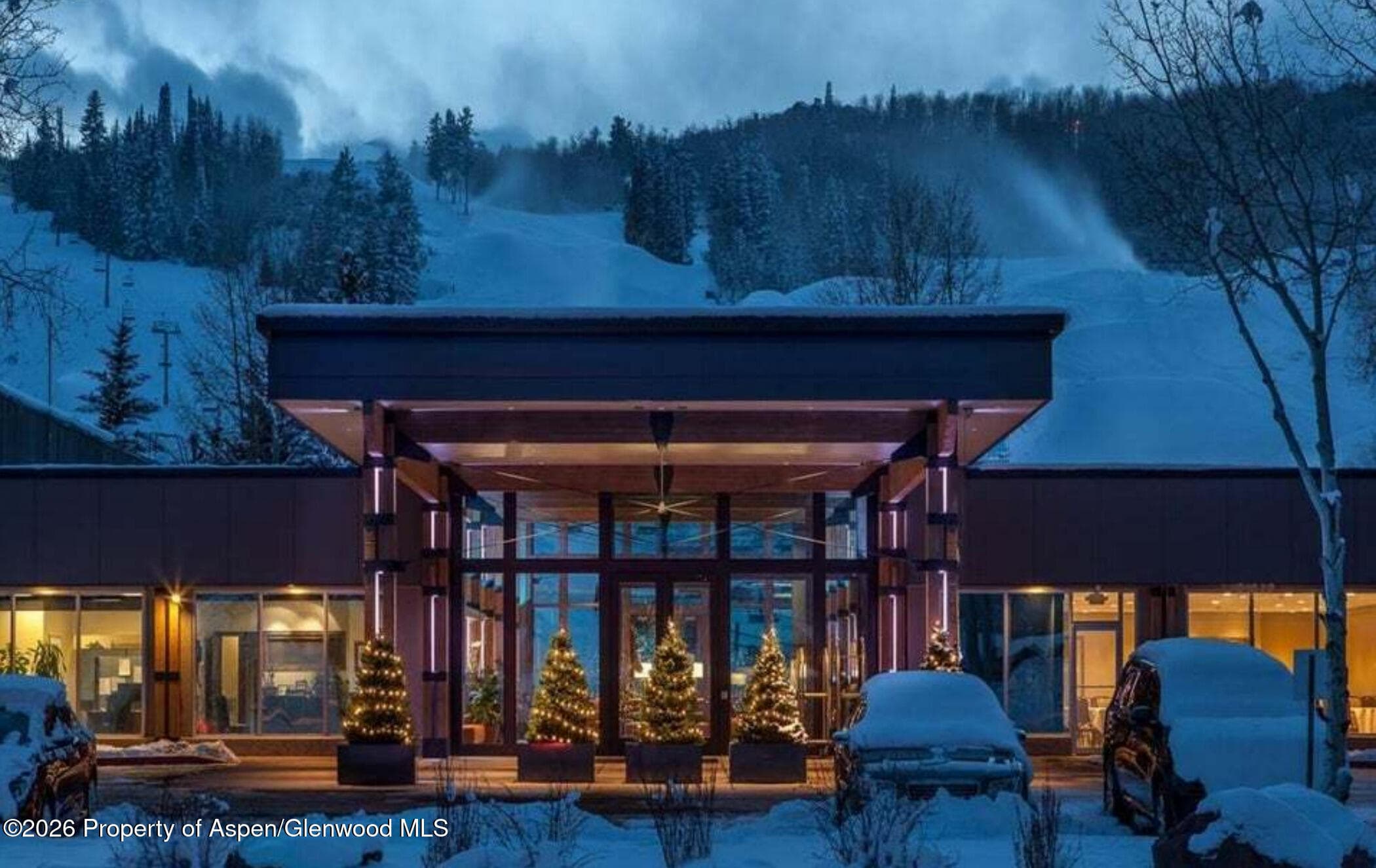 38750 Highway 82 1163 & 1165, Aspen, CO 81611 - Photo 23