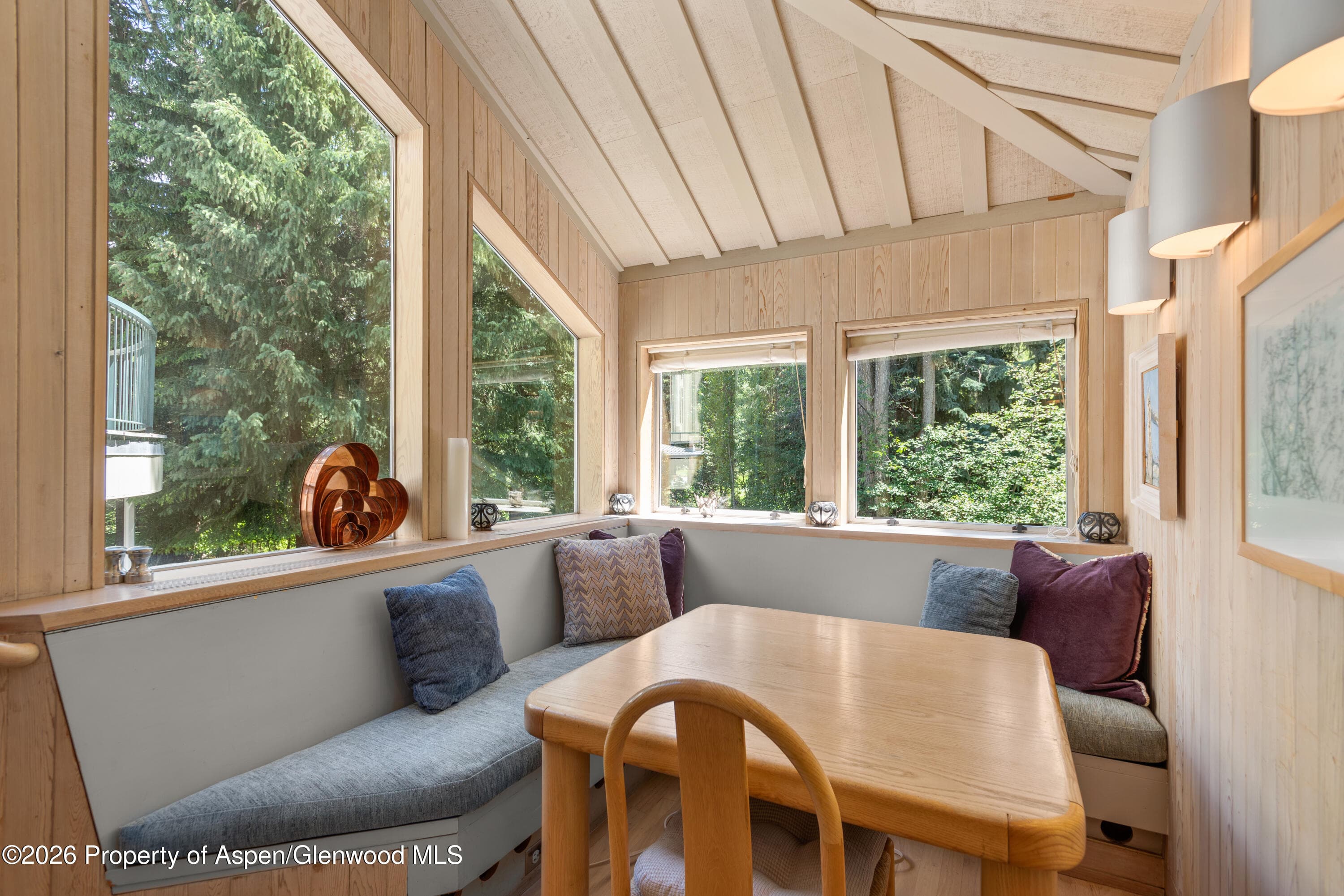 99 Shady Lane, Aspen, CO 81611 - Photo 11