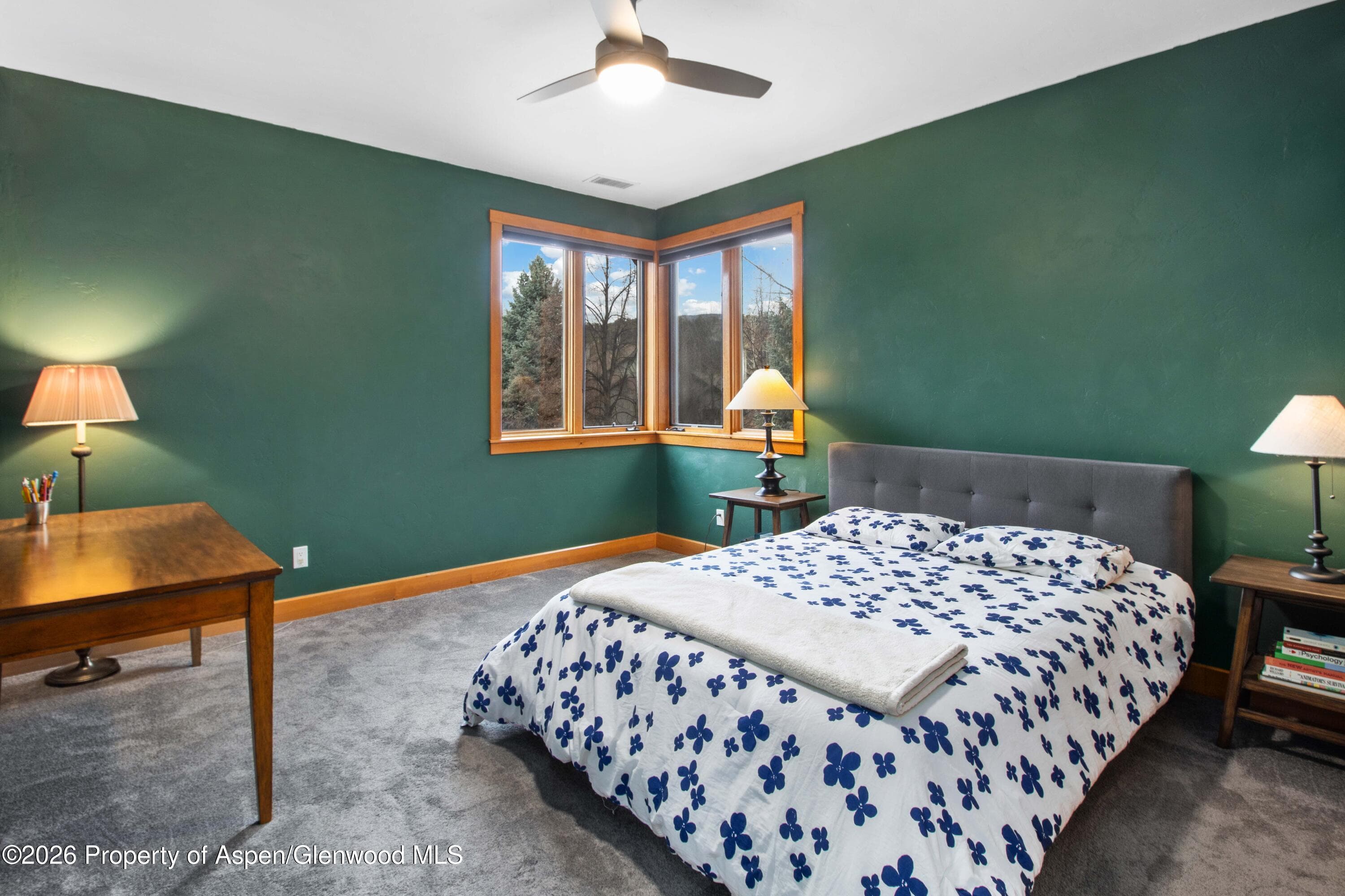 465 Settlement Lane, Carbondale, CO 81623 - Photo 16