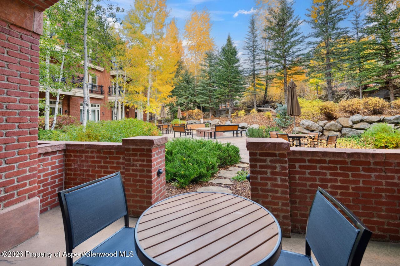 415 E Dean St, Unit 5, Week 5, Aspen, CO 81611 - Photo 24