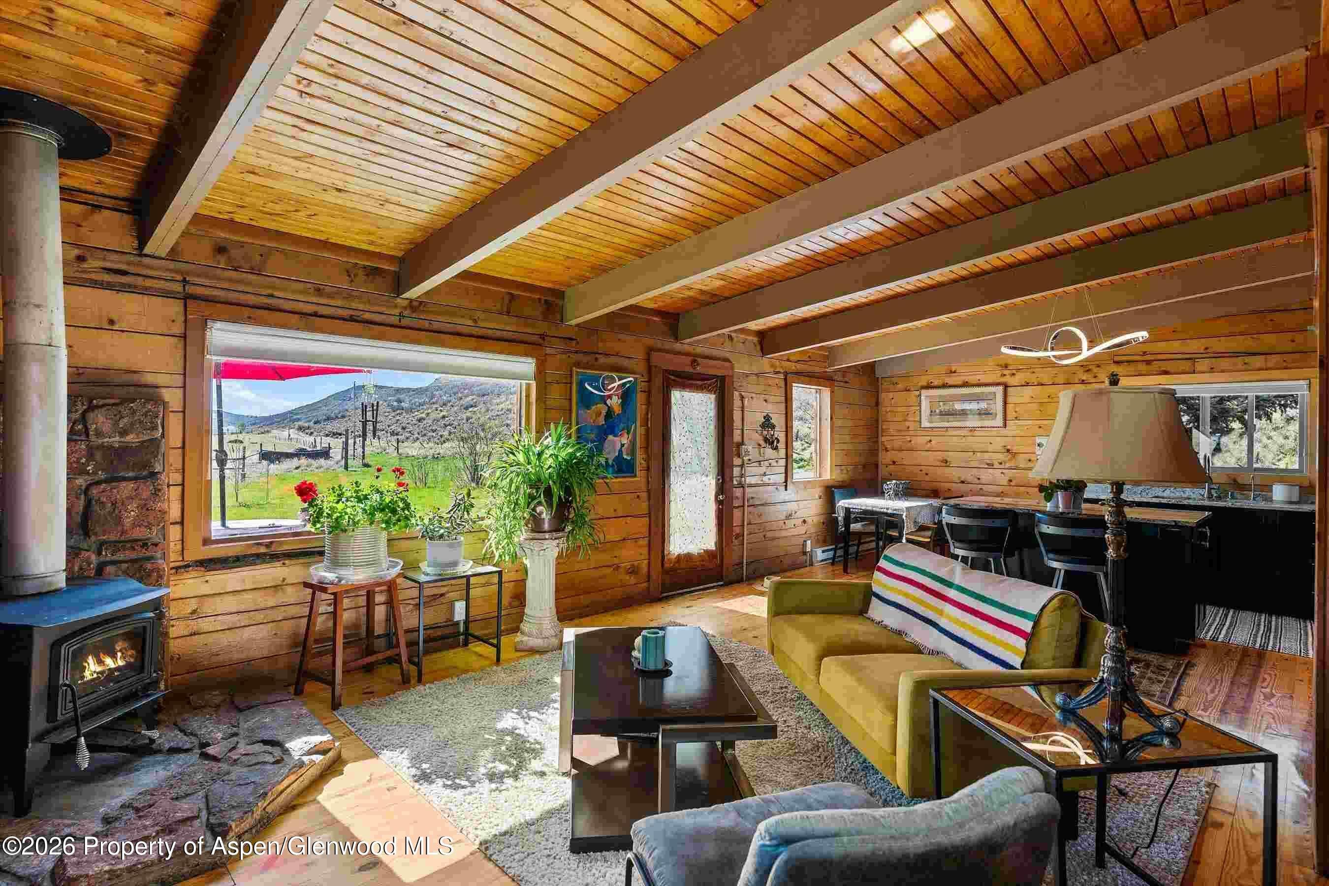 1150 County Road 119, Glenwood Springs, CO 81601 - Photo 7