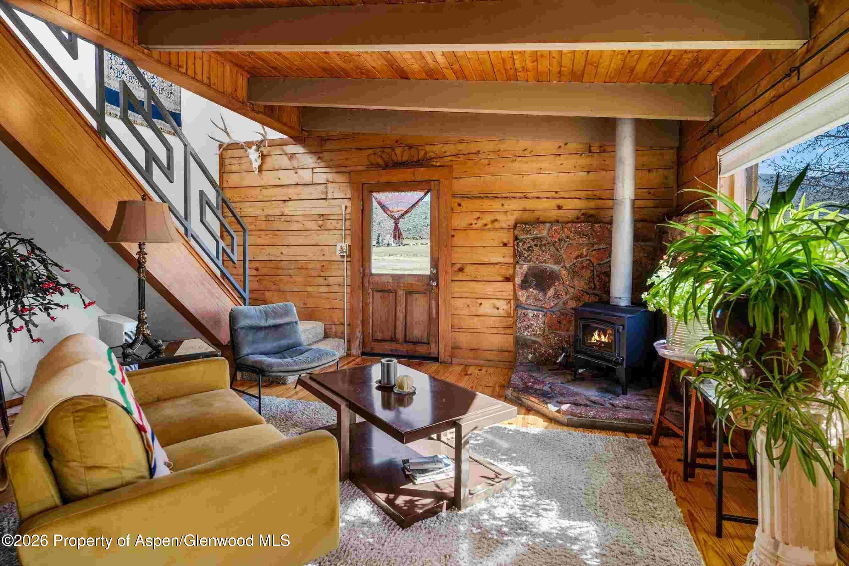 1150 County Road 119, Glenwood Springs, CO 81601 - Photo 8