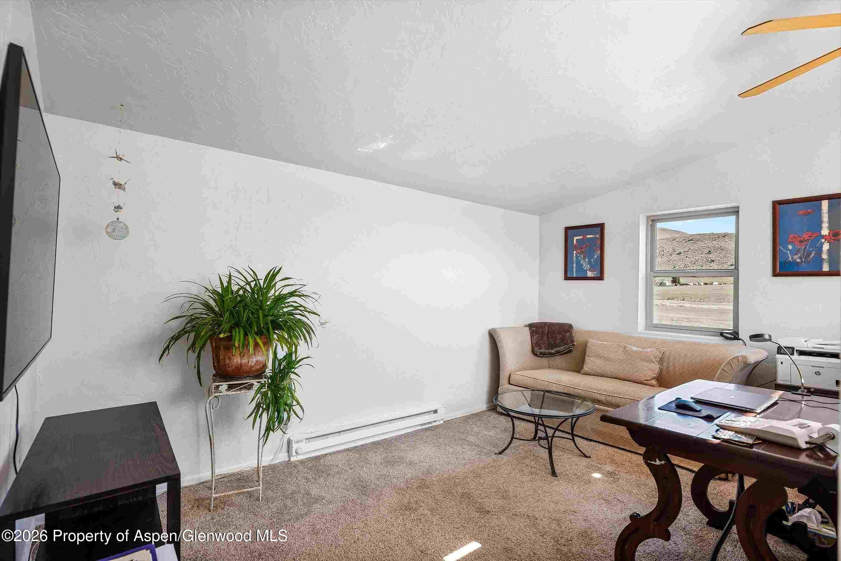 1150 County Road 119, Glenwood Springs, CO 81601 - Photo 15