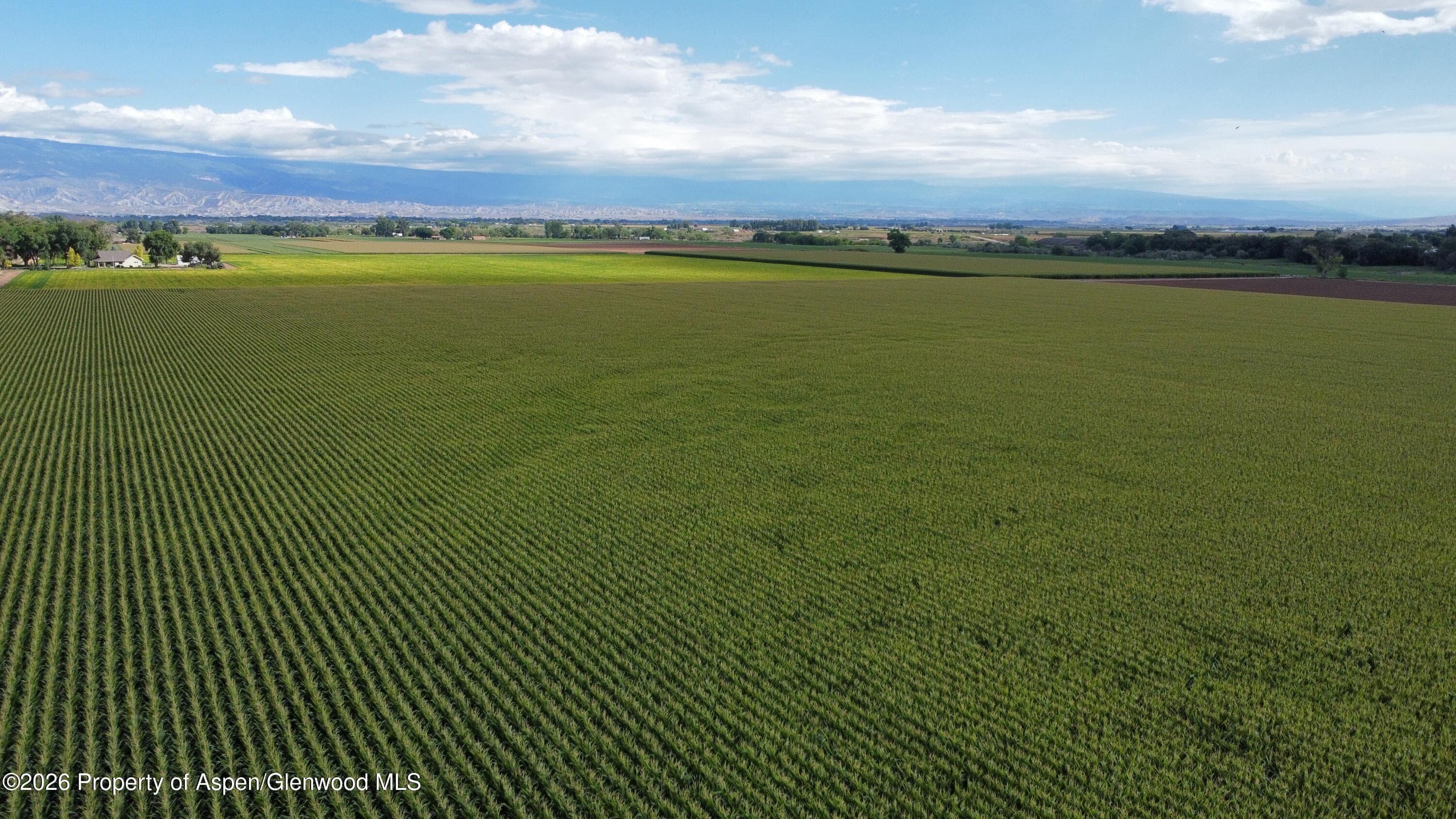 Tbd Banner Road, Delta, CO 81416 - Photo 7