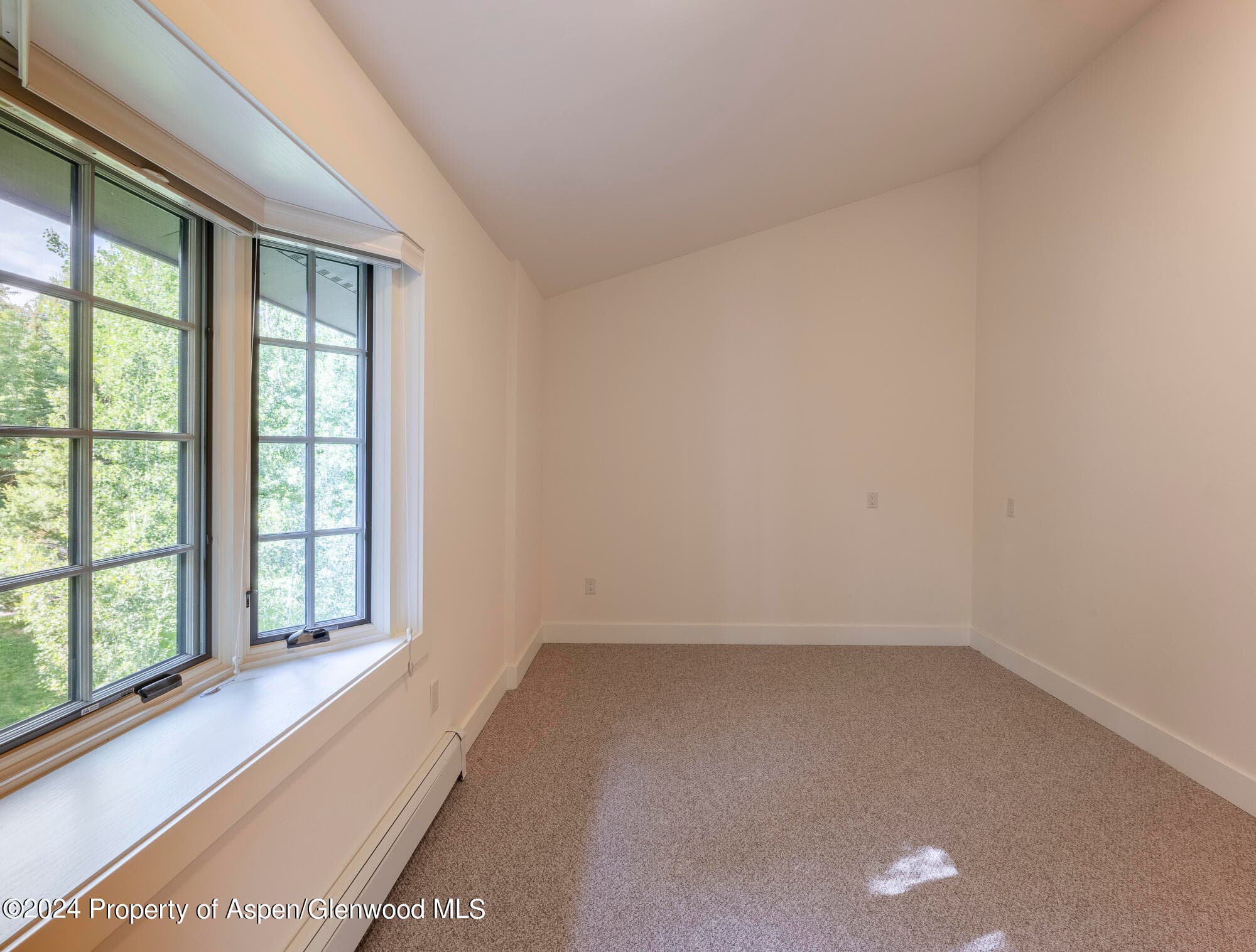 58 Maroon Drive, Aspen, CO 81611 - Photo 22