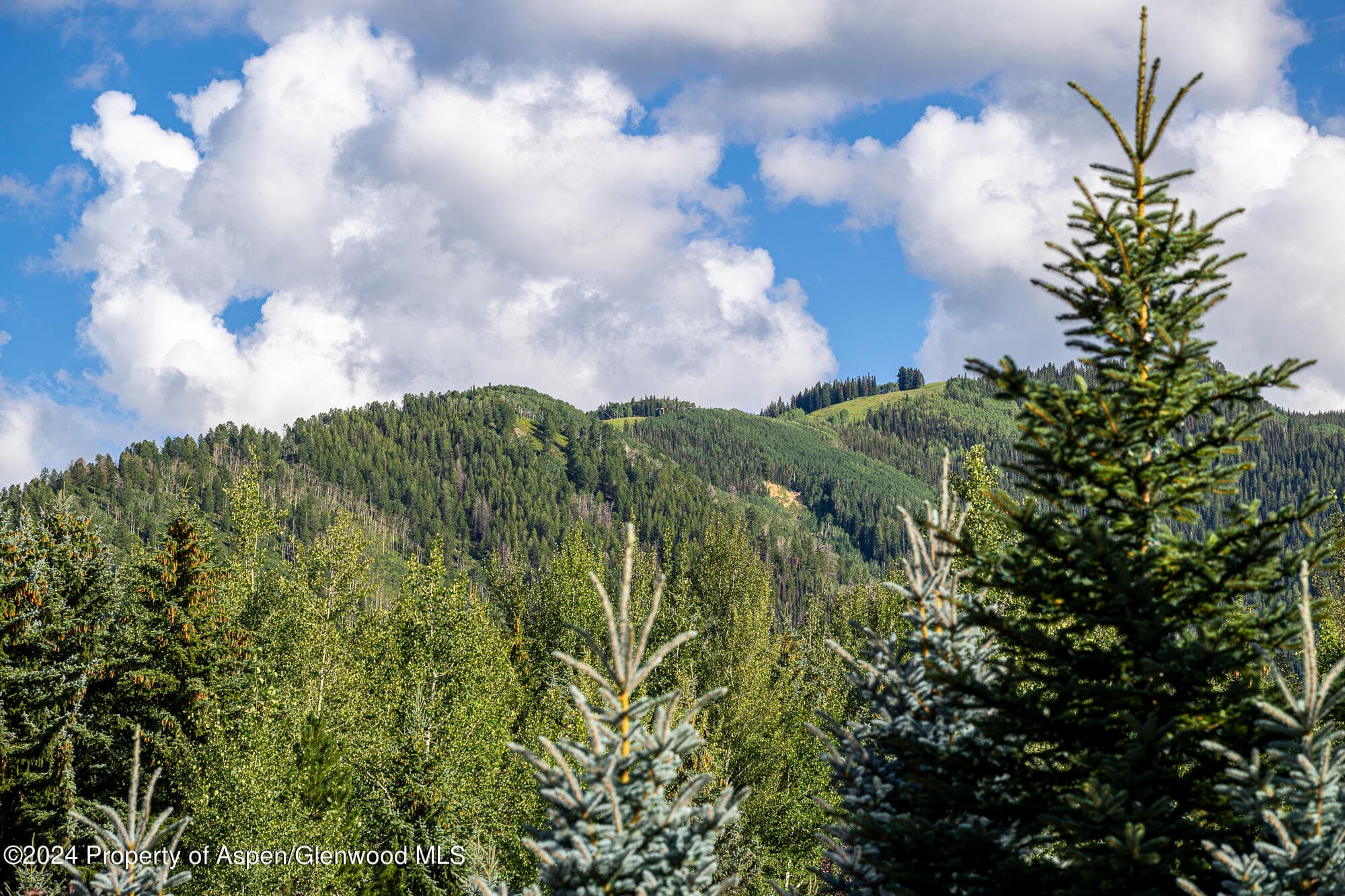 58 Maroon Drive, Aspen, CO 81611 - Photo 38