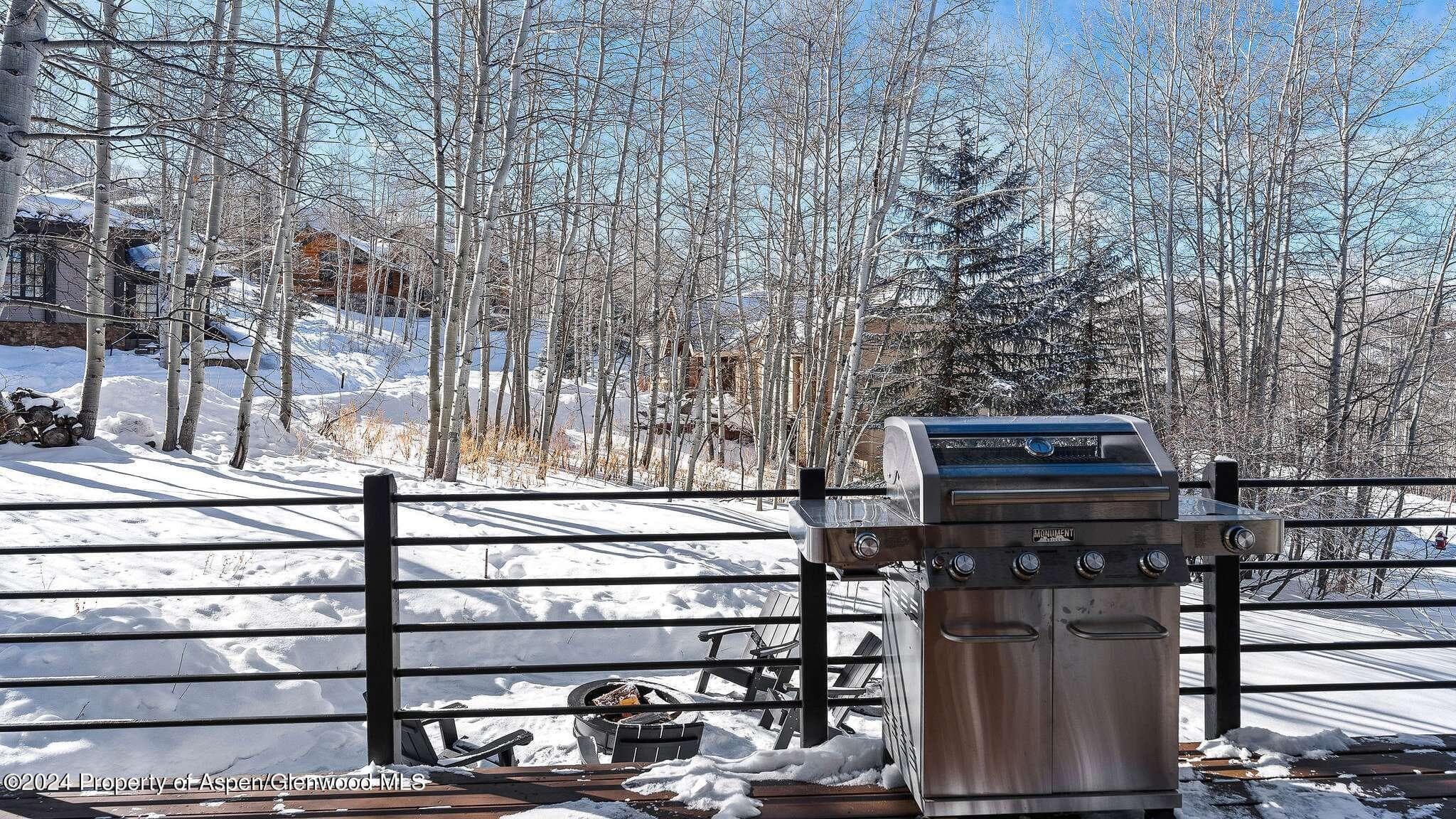 233 Stellar Lane, Snowmass Village, CO 81615 - Photo 29