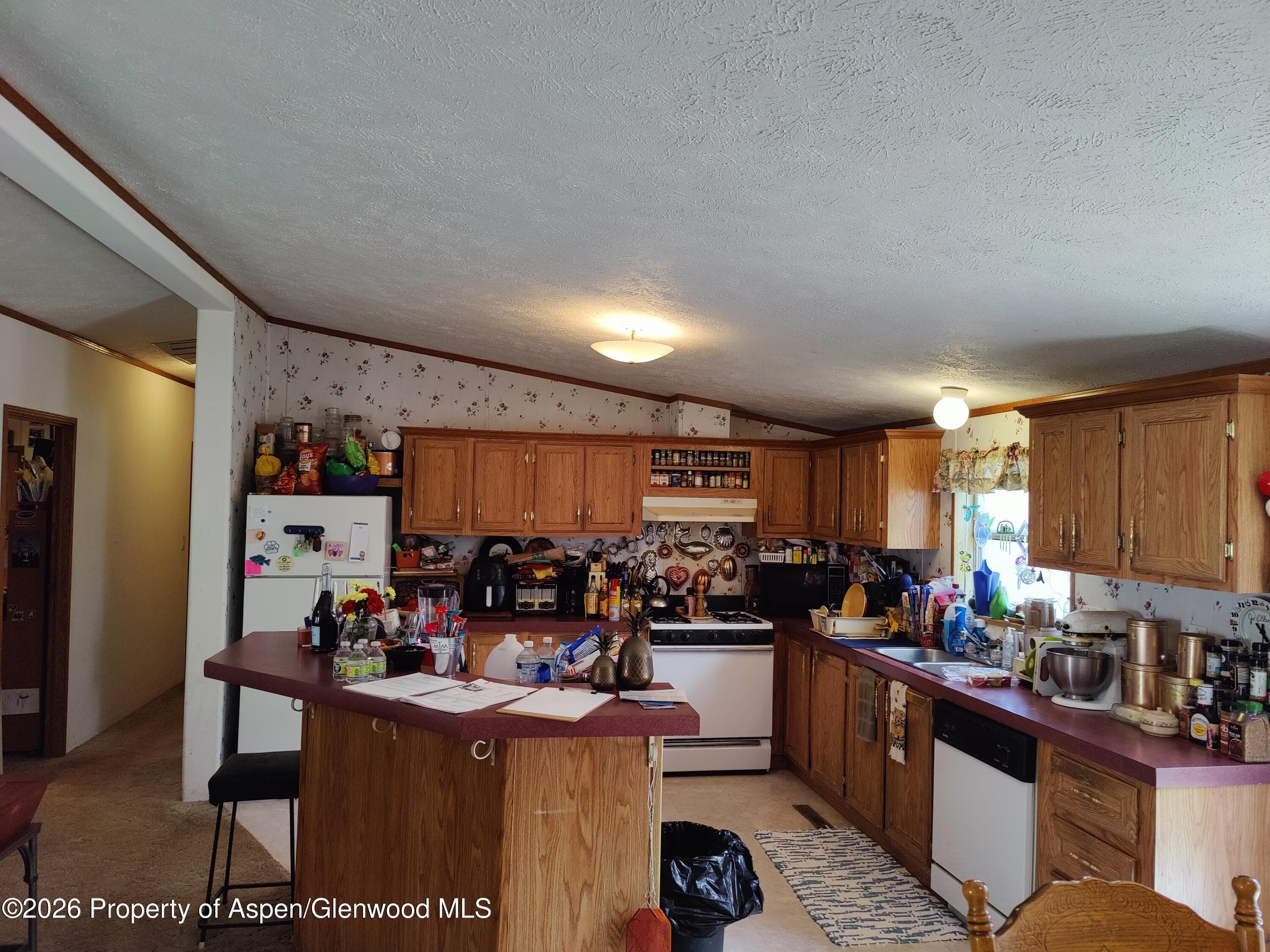 5387 County Rd 154 Trailer # 4, Glenwood Springs, CO 81601 - Photo 10