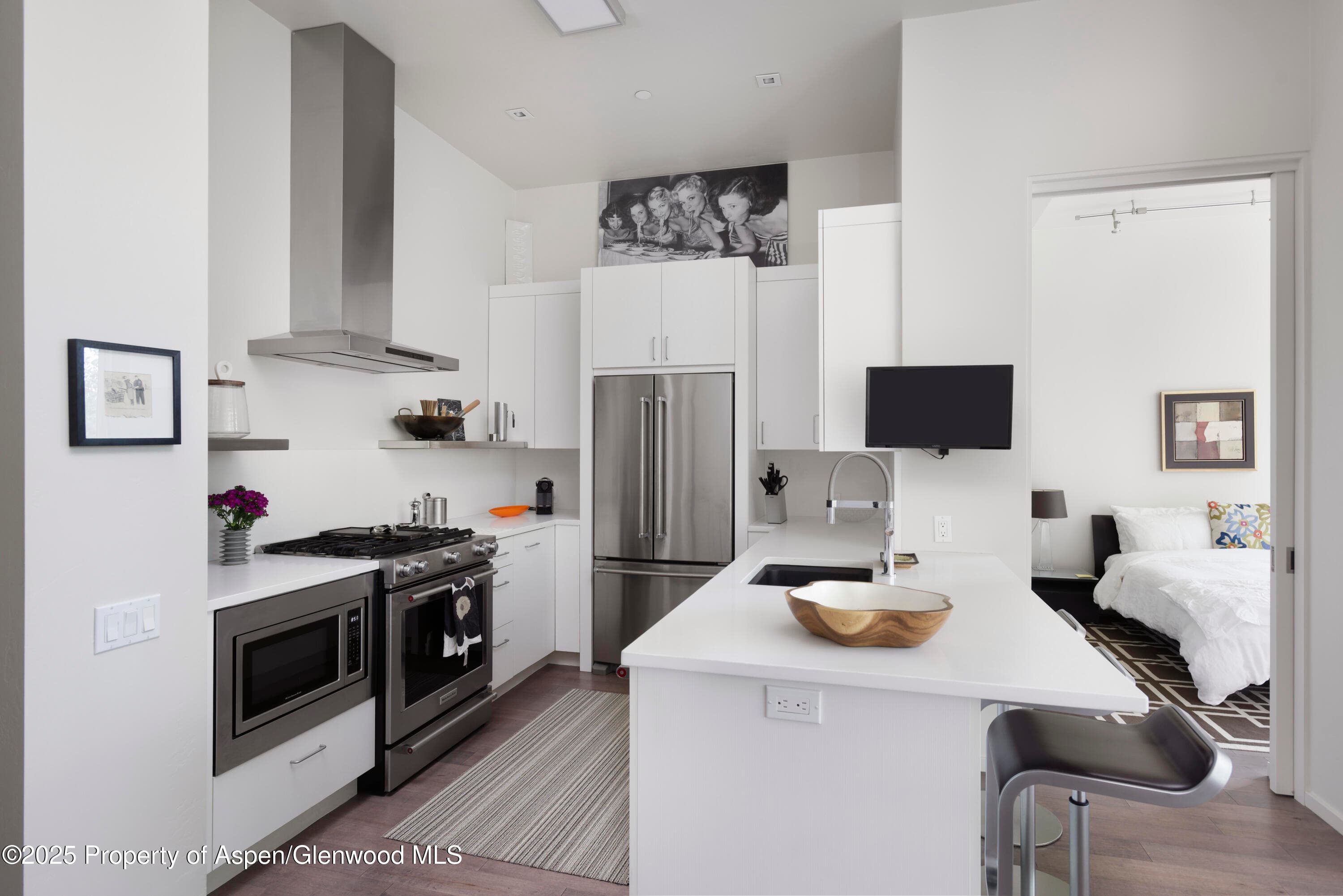 104 Evans Road 207, Basalt, CO 81621 - Photo 5