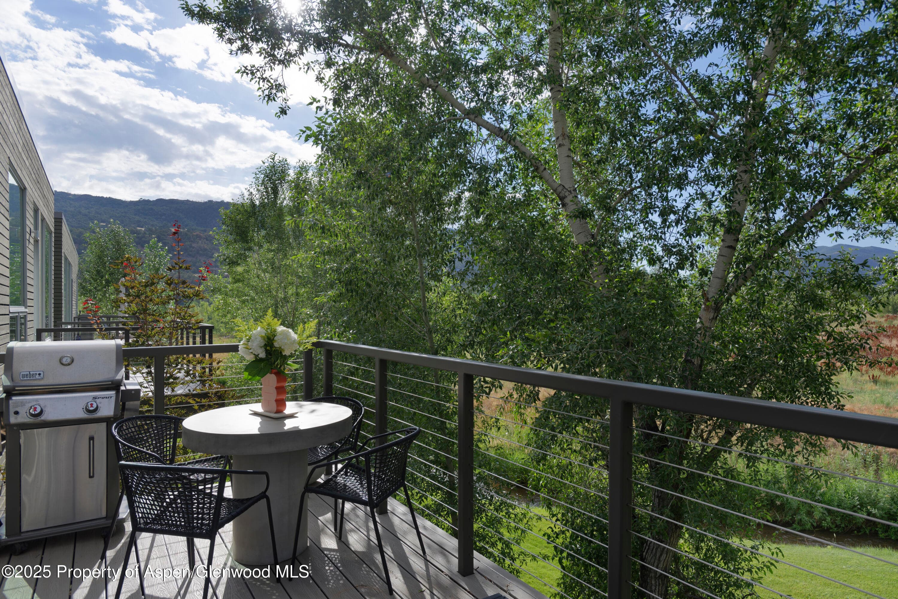104 Evans Road 207, Basalt, CO 81621 - Photo 9