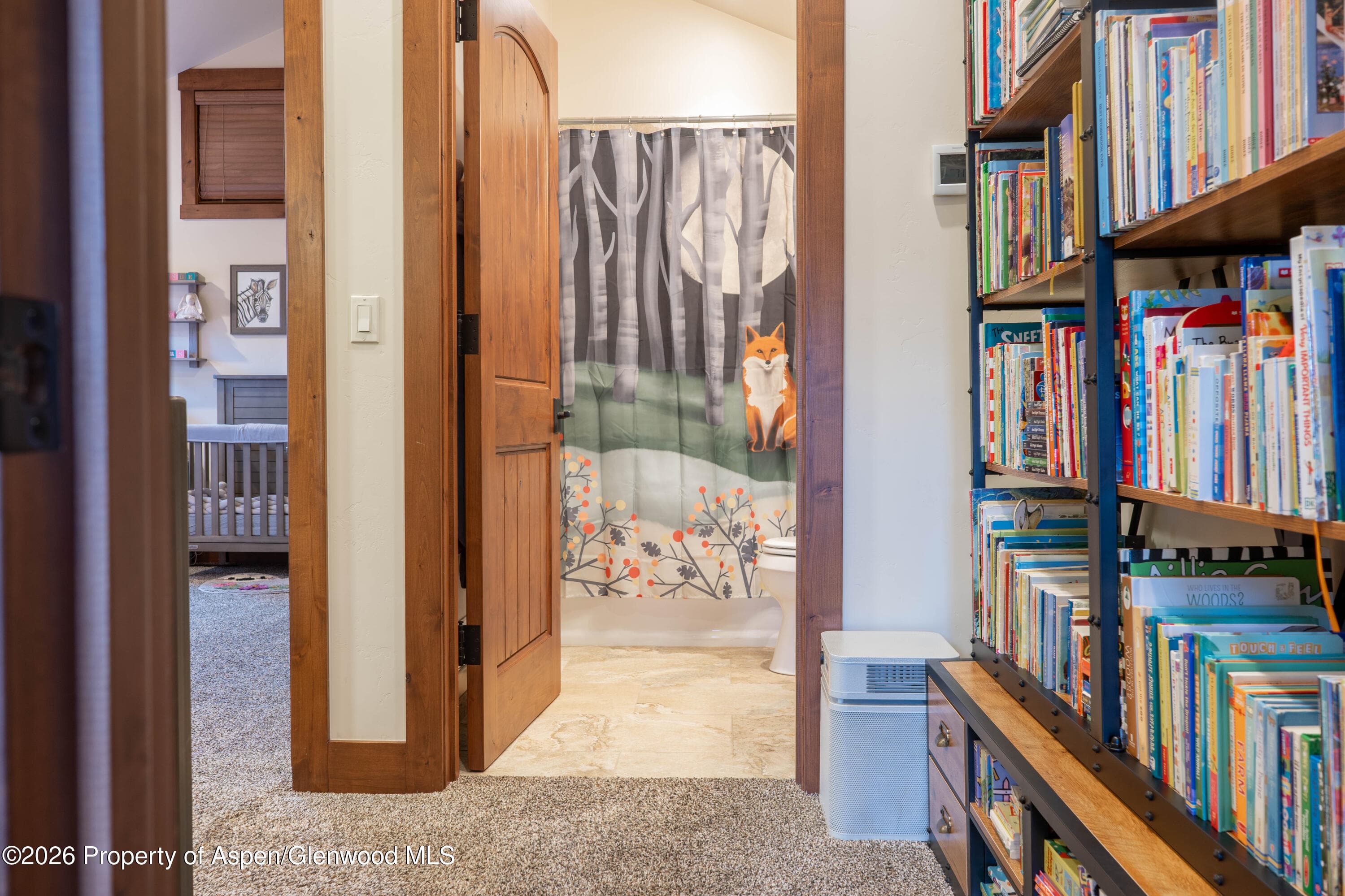 109 Valley Court, Basalt, CO 81621 - Photo 31