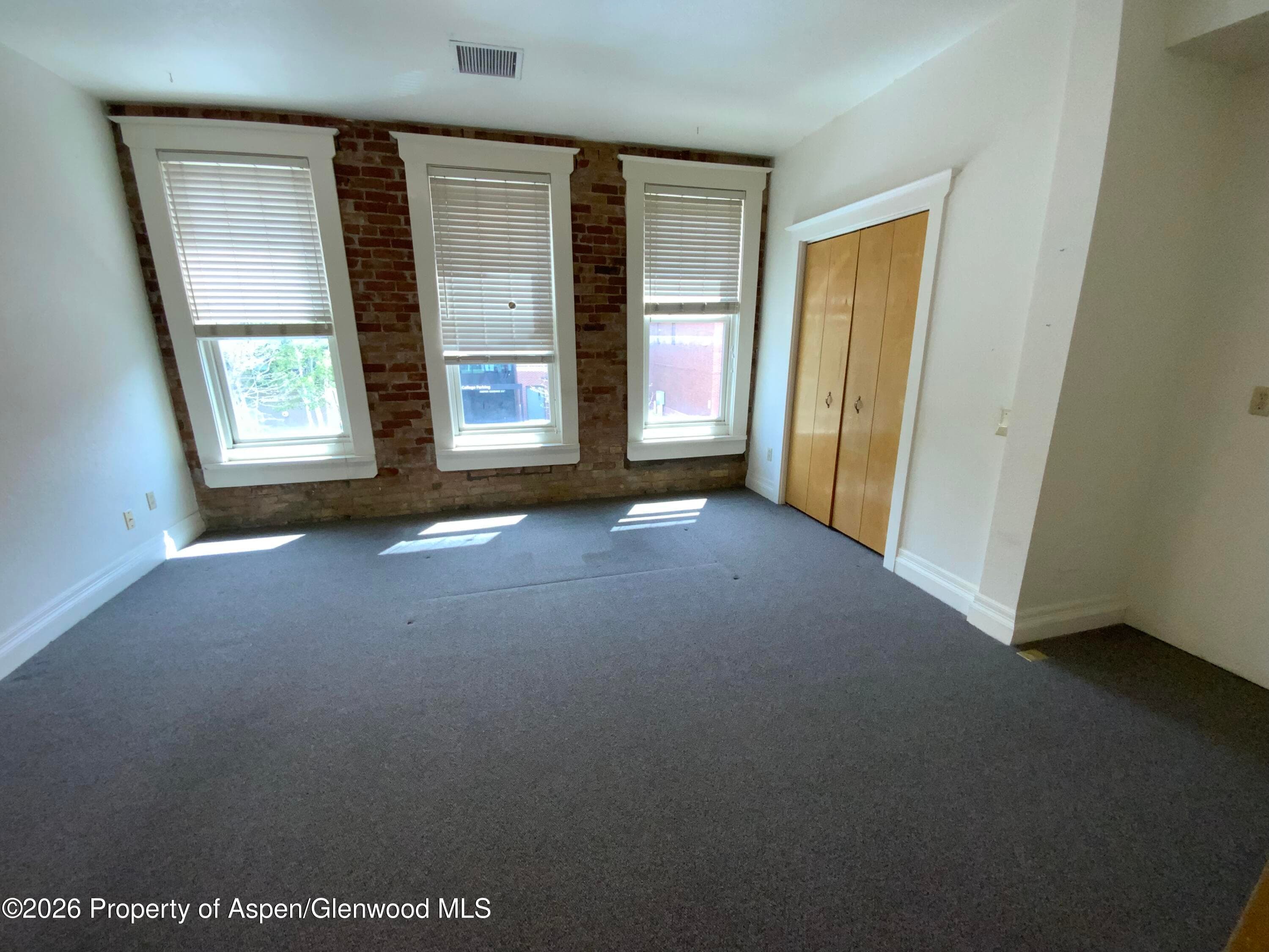 311 1/2 8th Street, Glenwood Springs, CO 81601 - Photo 22
