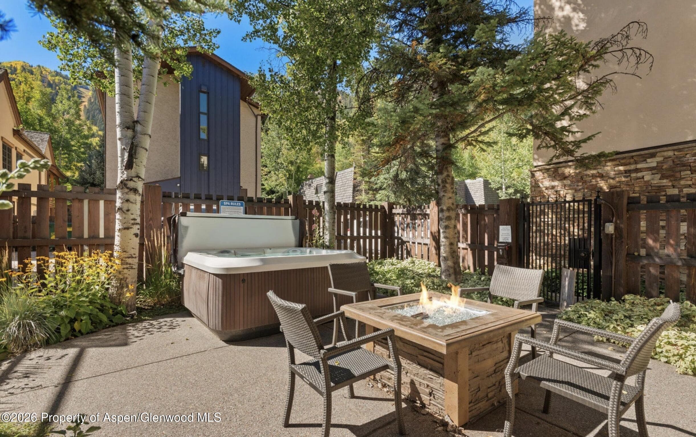 119 E Cooper Avenue 26, Aspen, CO 81611 - Photo 14