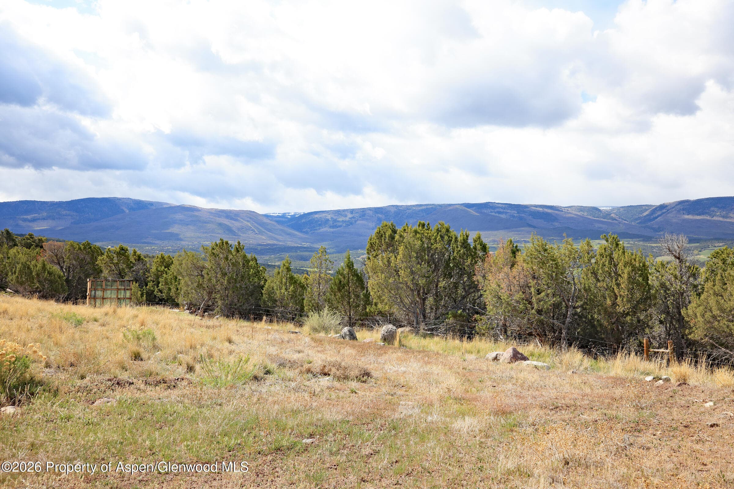 12705 55 Road, Collbran, CO 81624 - Photo 8