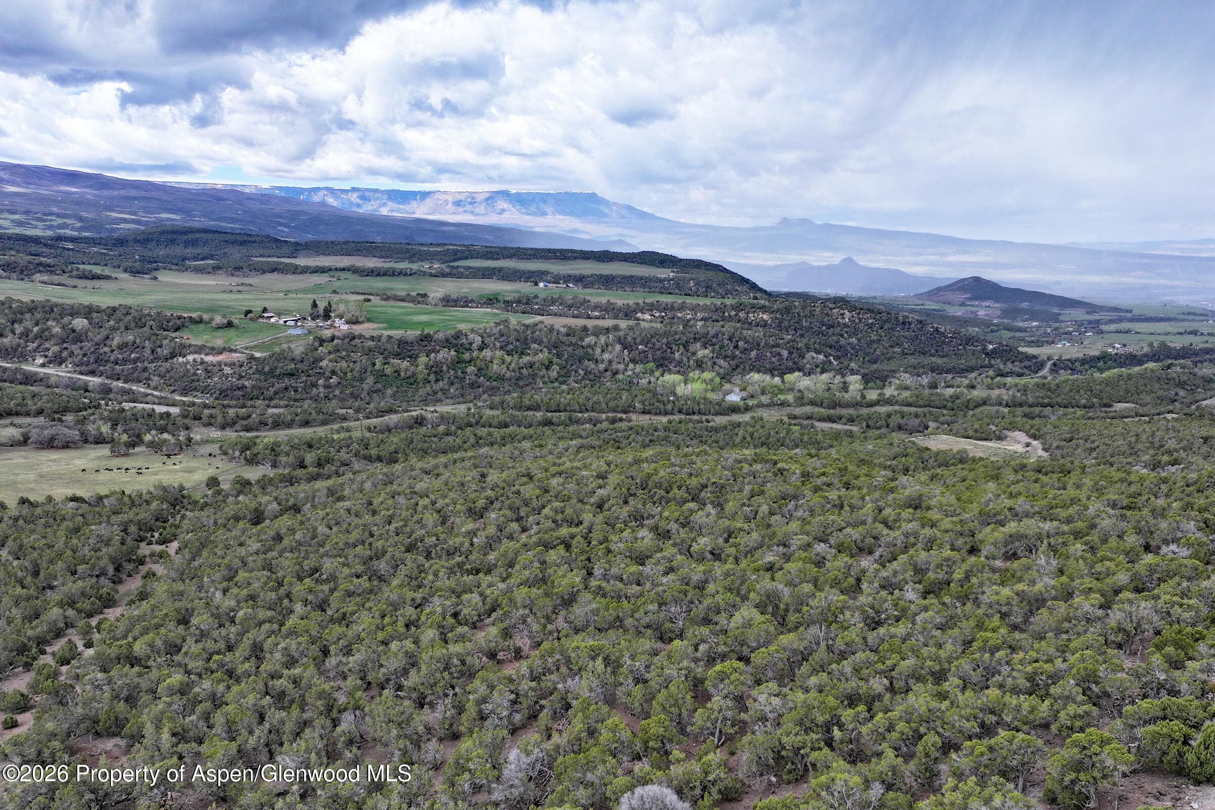 12705 55 Road, Collbran, CO 81624 - Photo 22