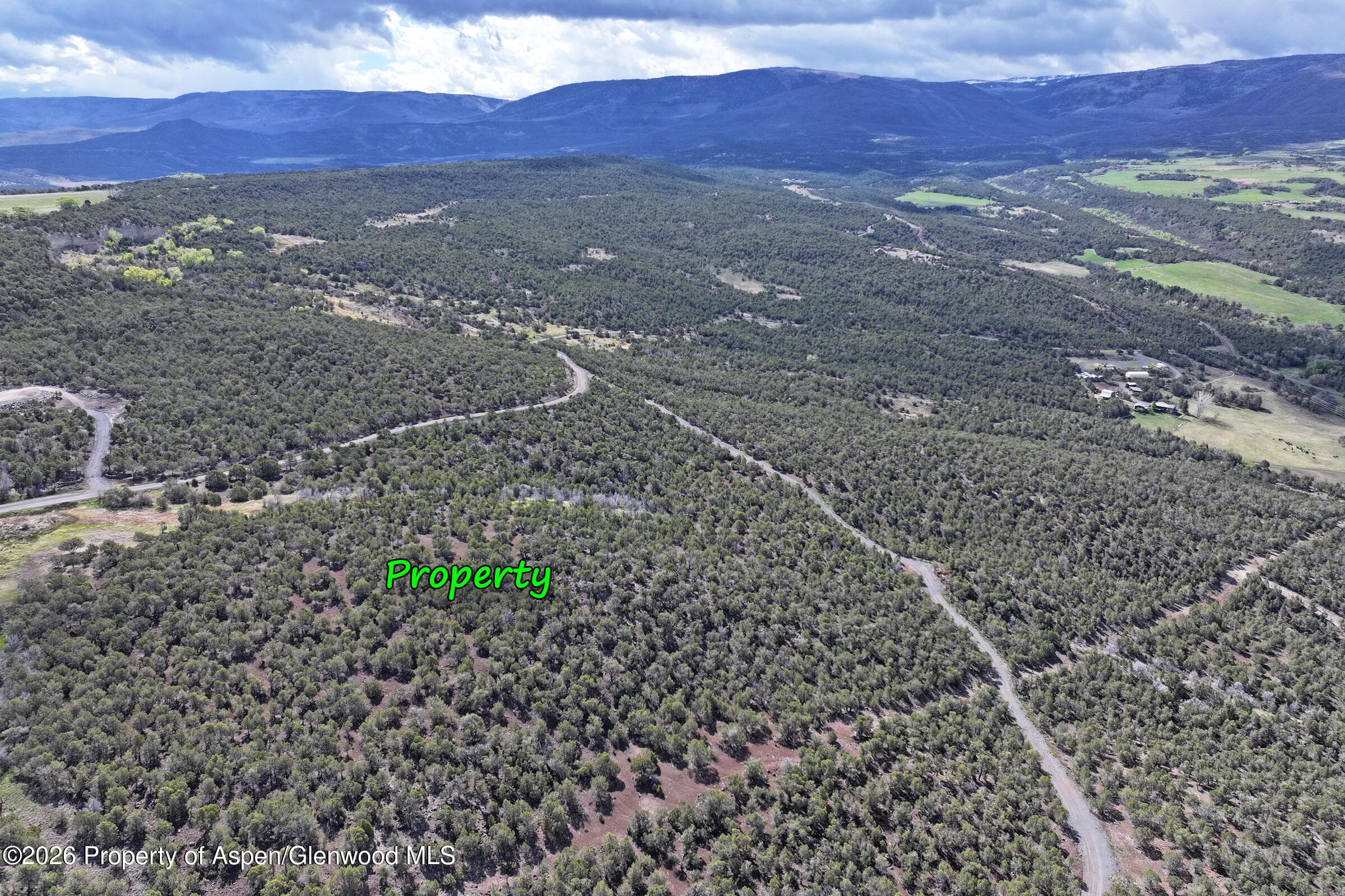 12705 55 Road, Collbran, CO 81624 - Photo 26
